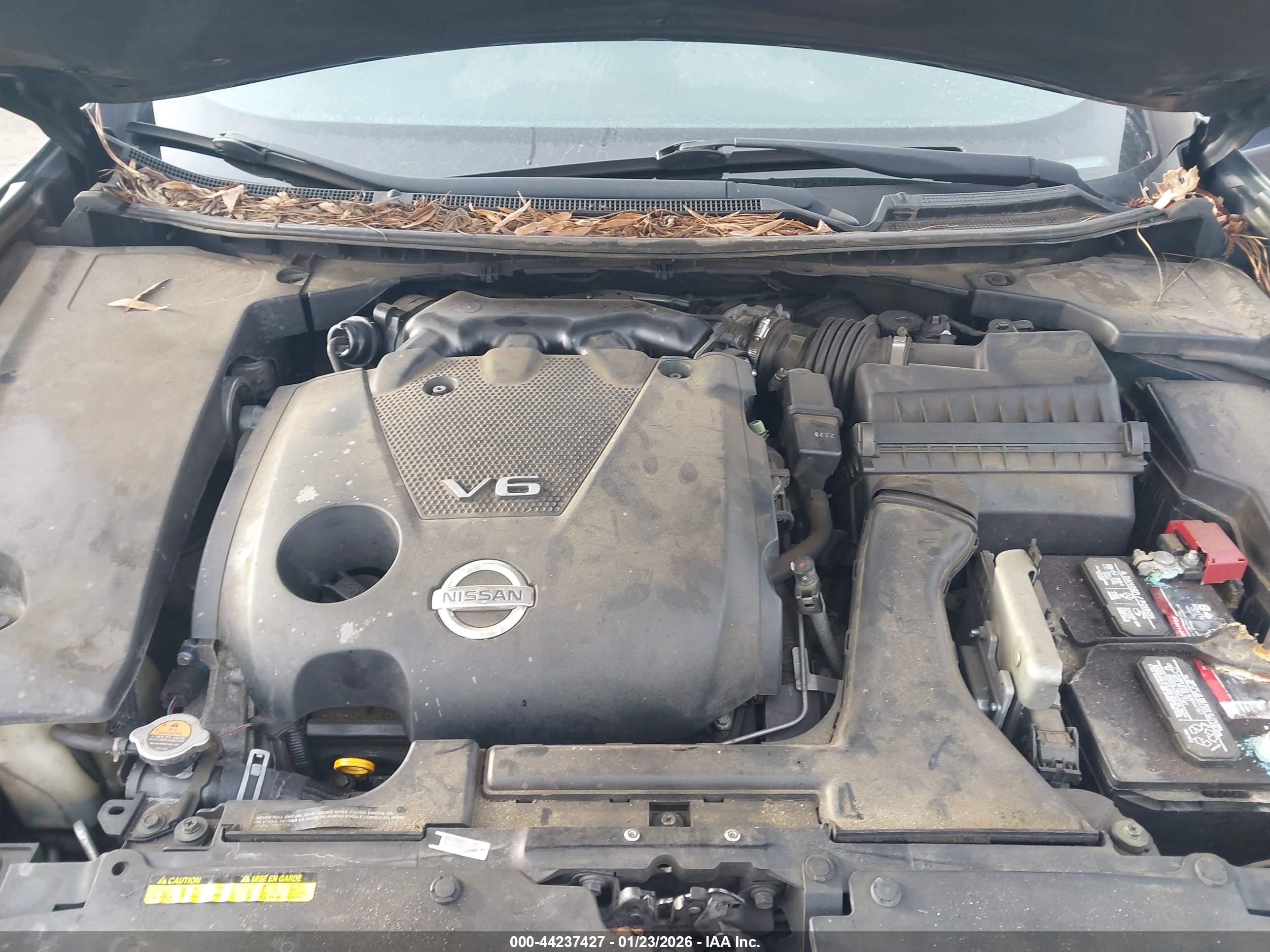 NISSAN MAXIMA image 10