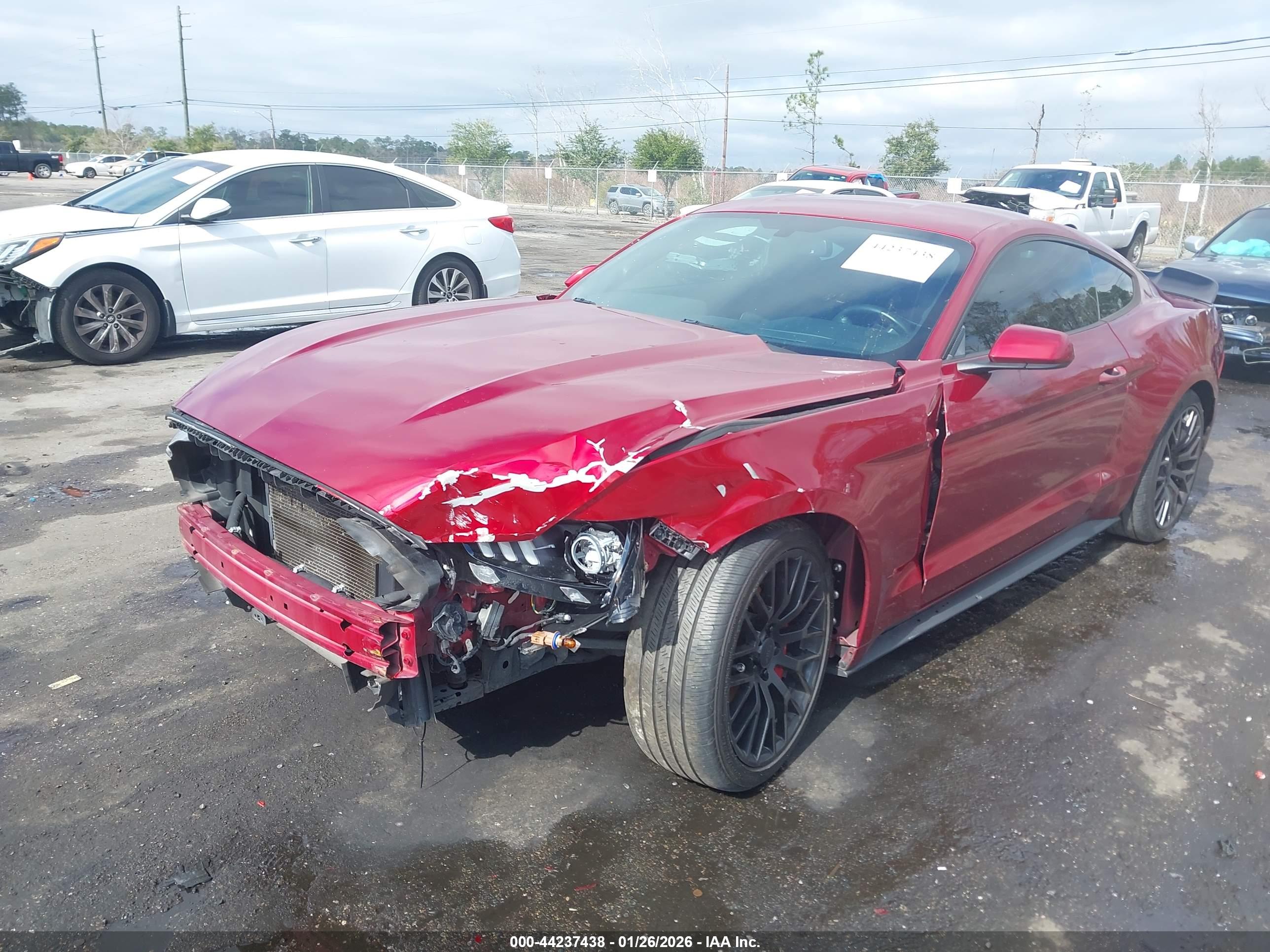 FORD MUSTANG image 2