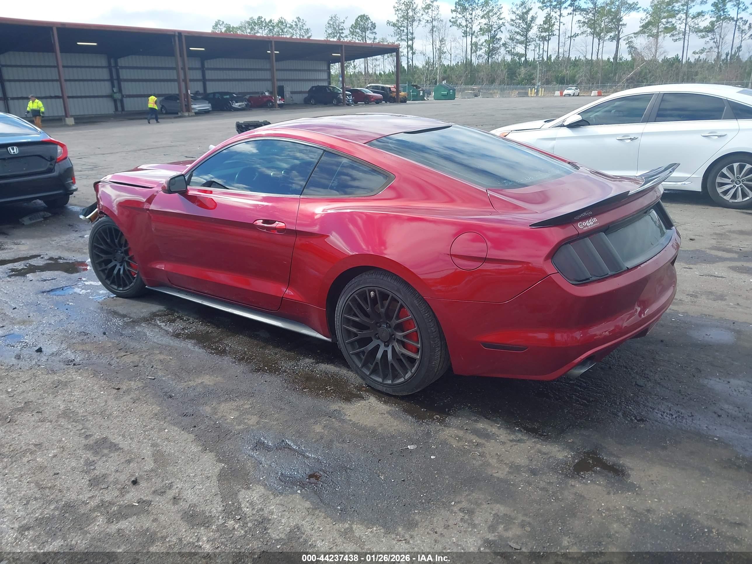 FORD MUSTANG image 3
