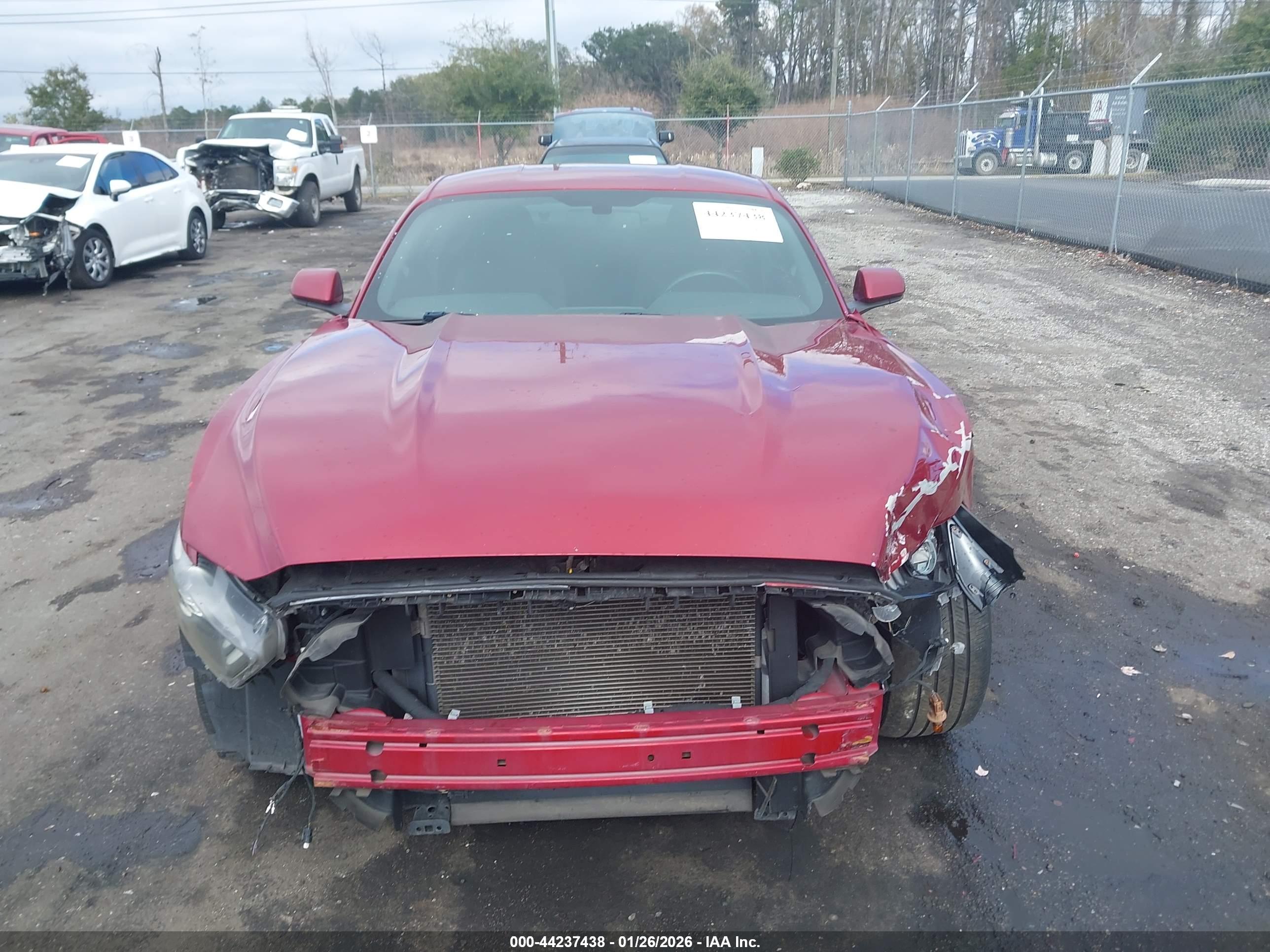 FORD MUSTANG image 6