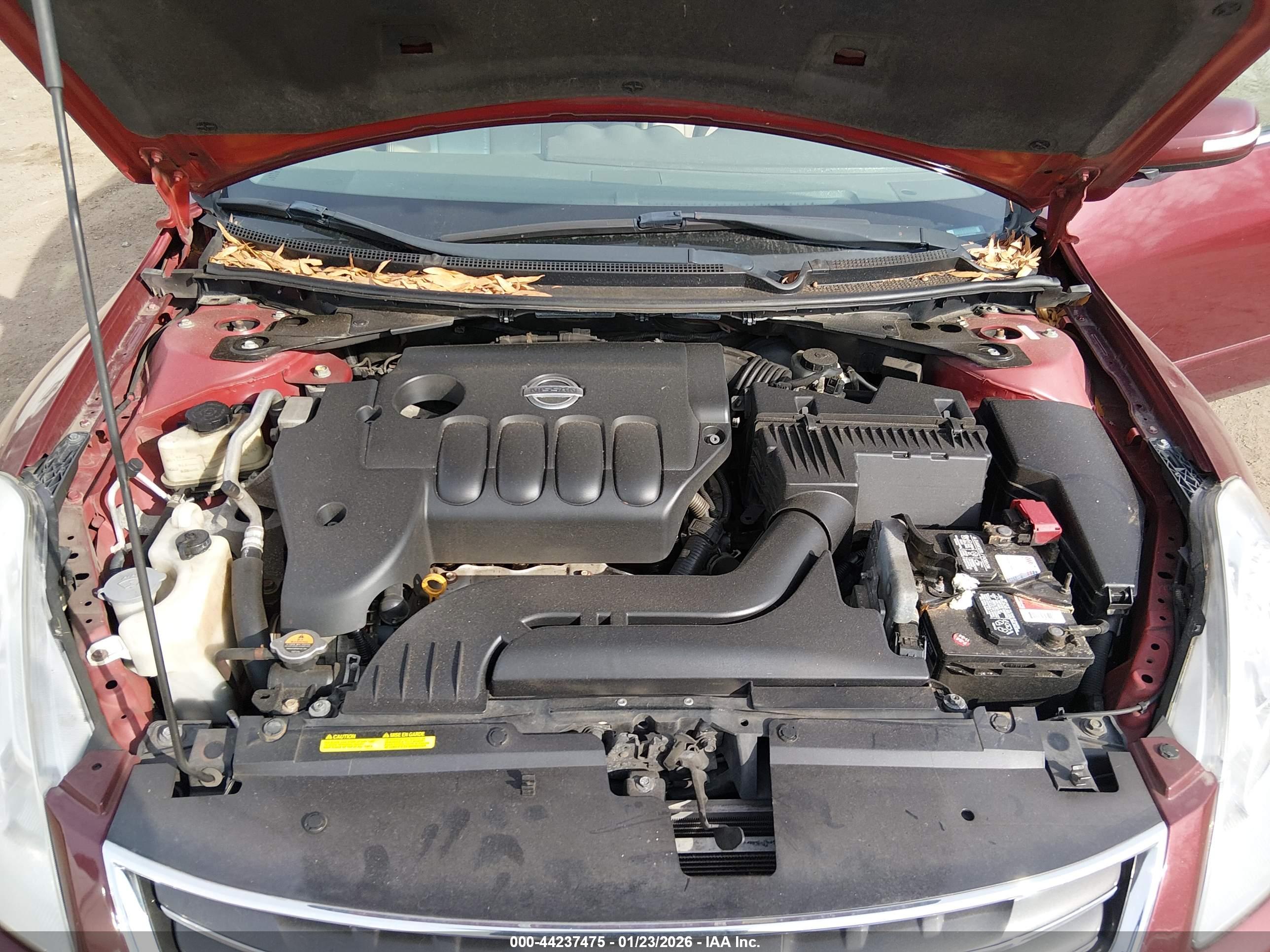 NISSAN ALTIMA image 10
