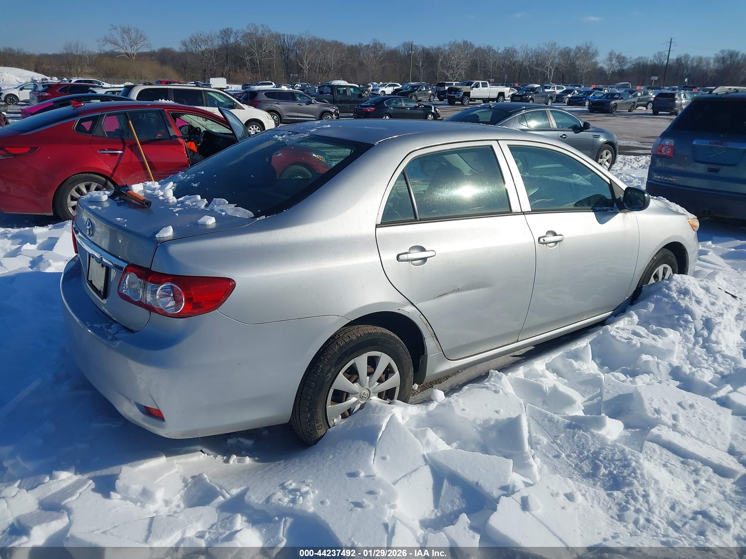 TOYOTA COROLLA image 4