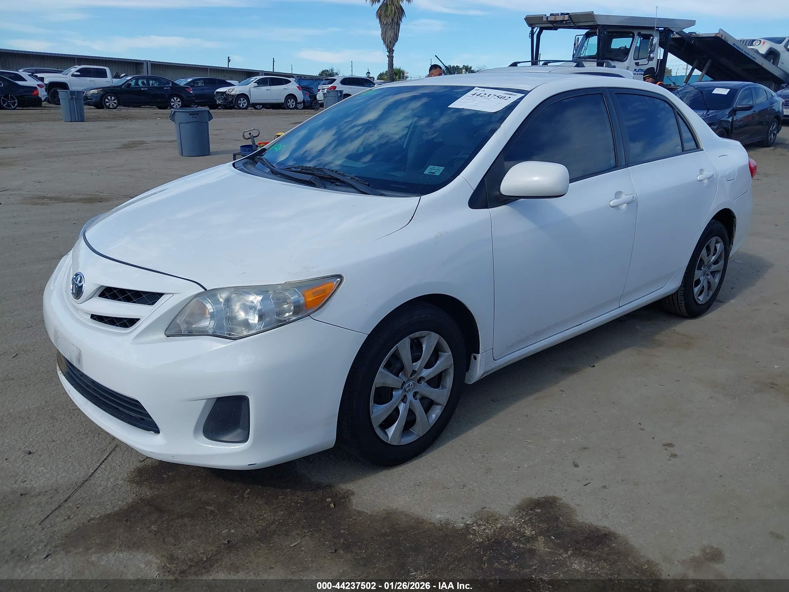 TOYOTA COROLLA image 2