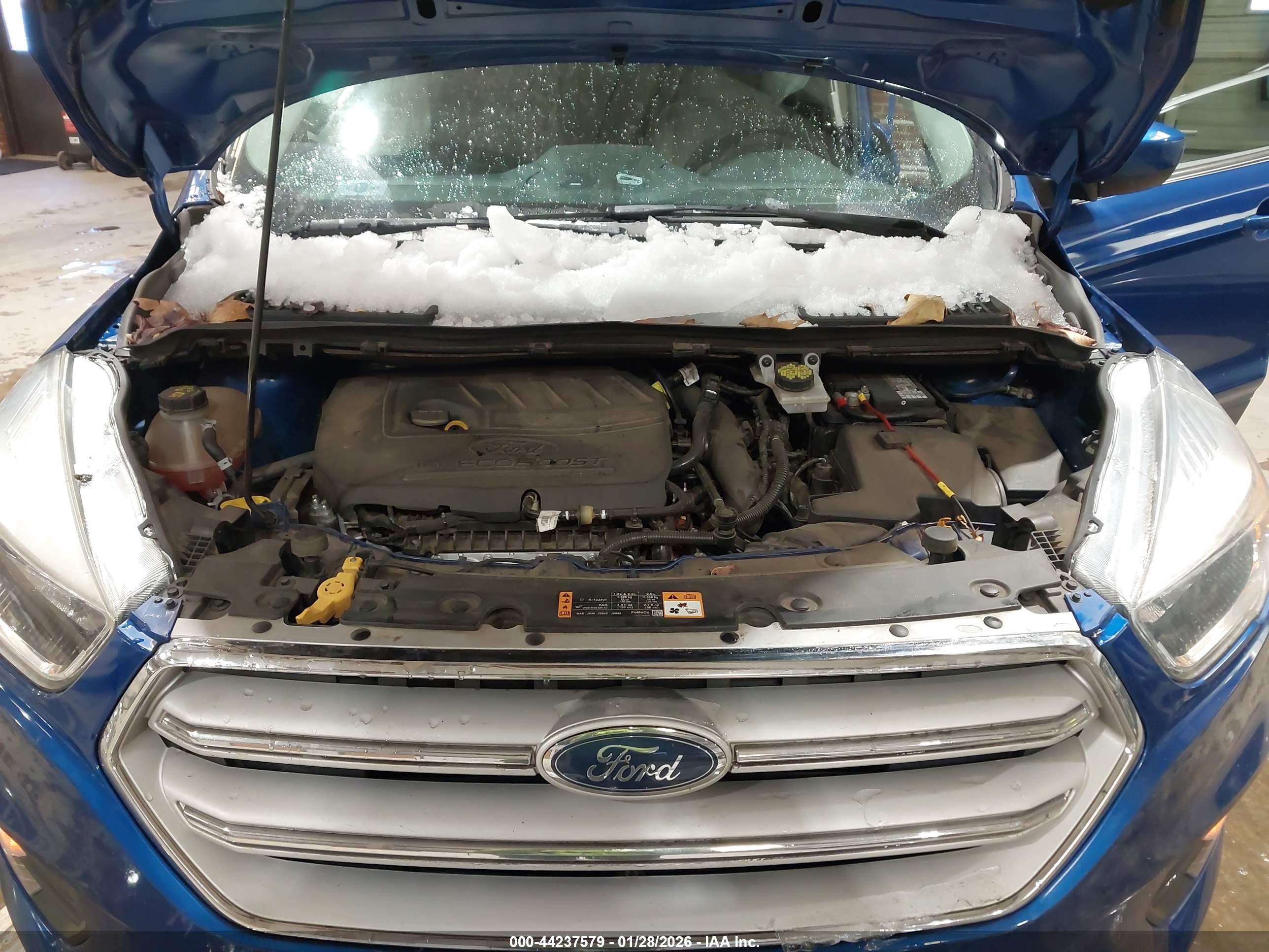 FORD ESCAPE image 10