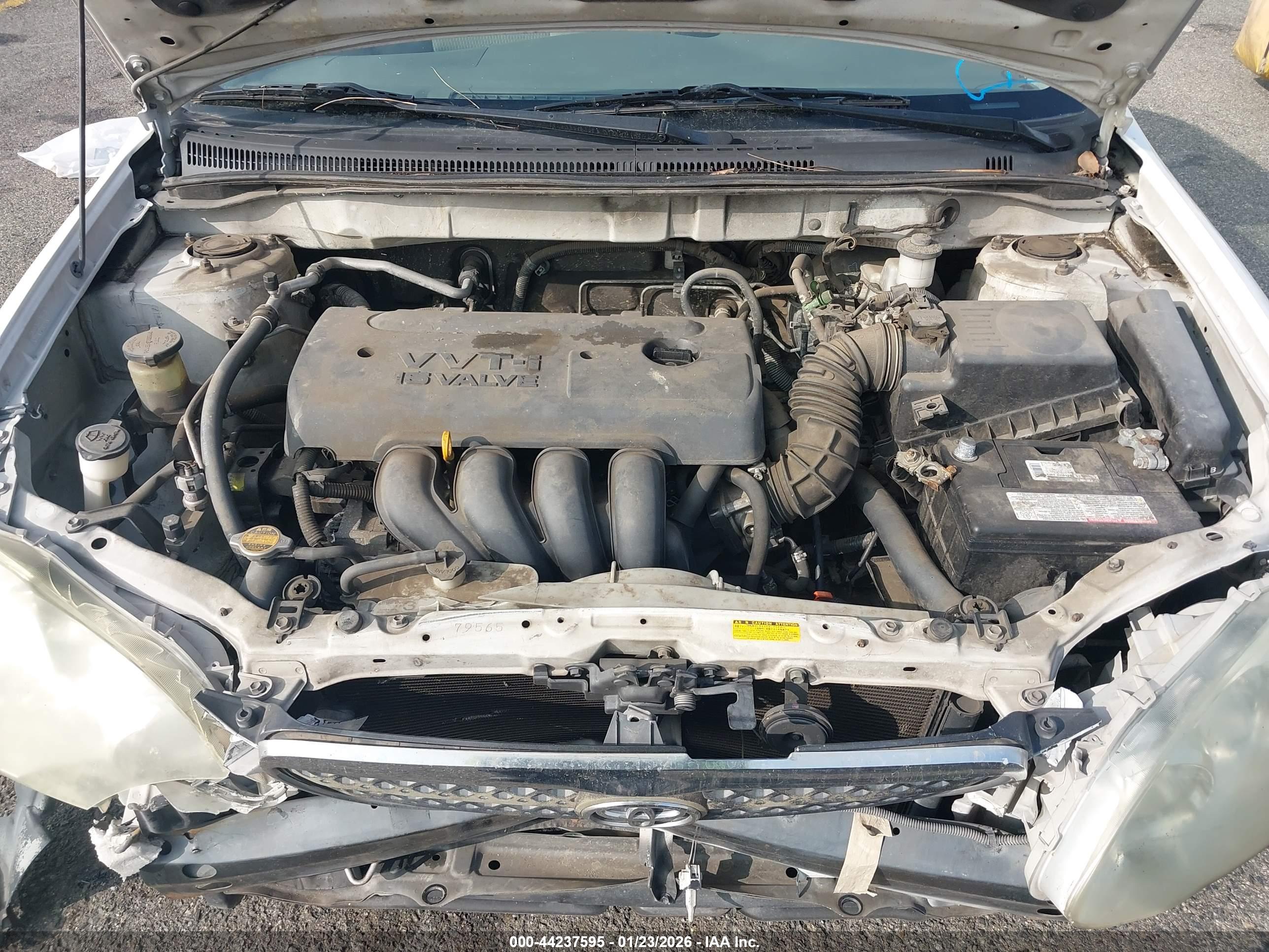 TOYOTA COROLLA image 10