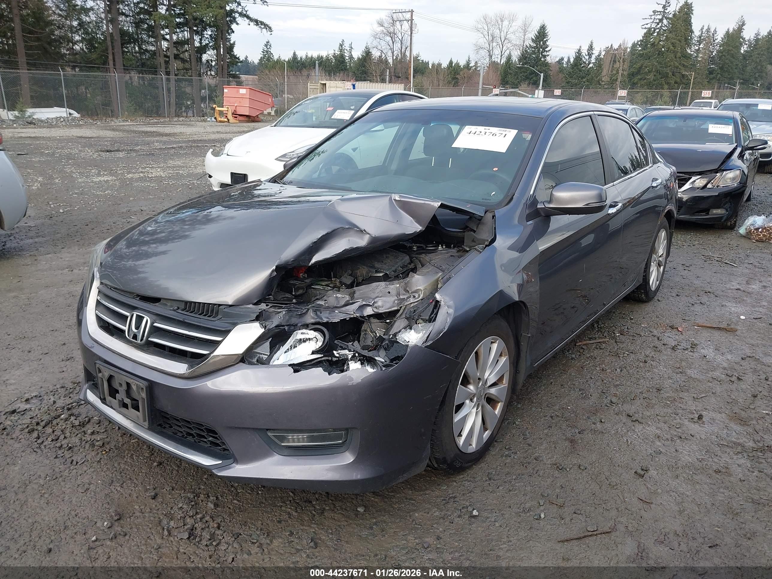 HONDA ACCORD image 2