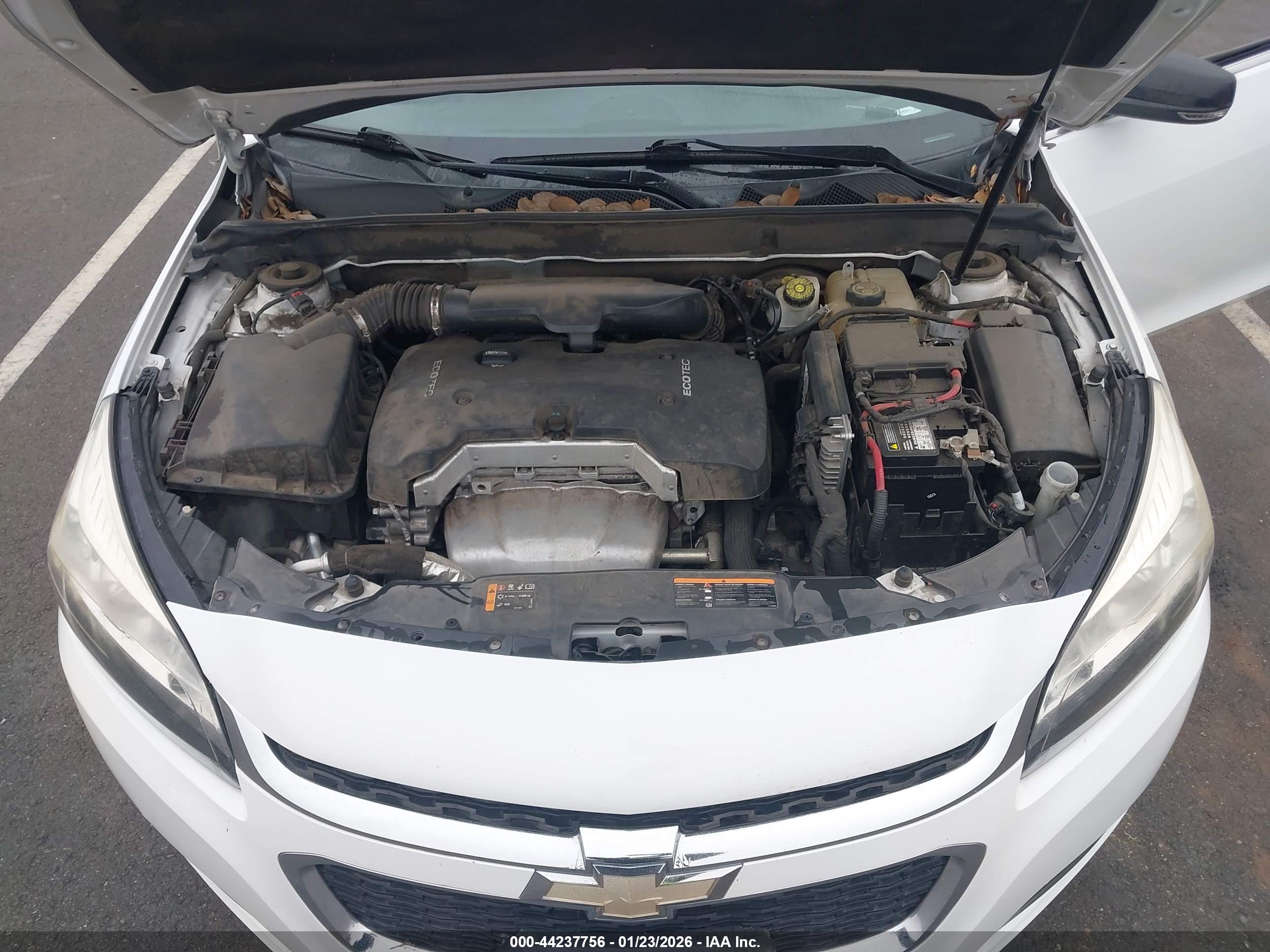 CHEVROLET MALIBU image 10