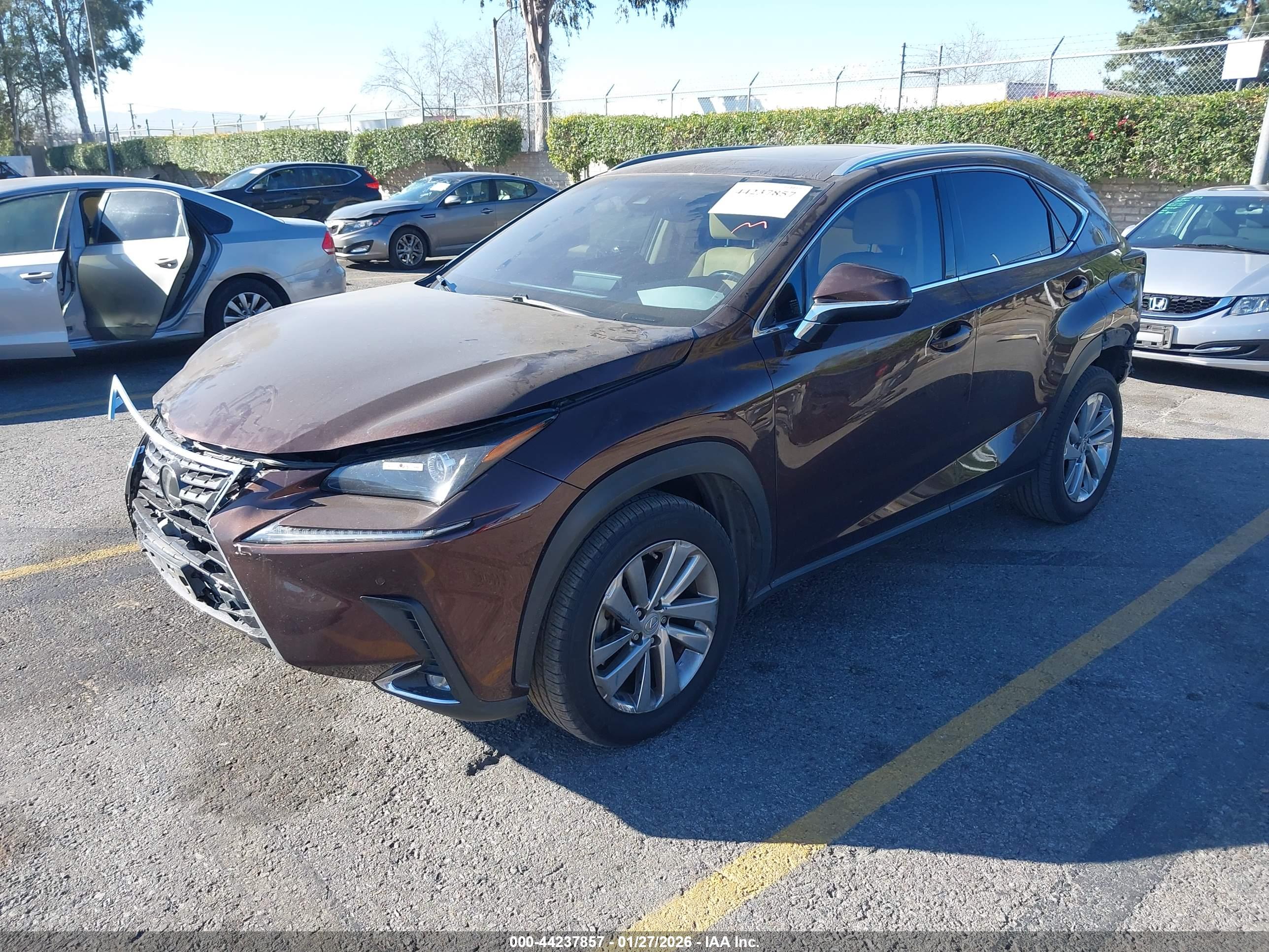 LEXUS NX image 2