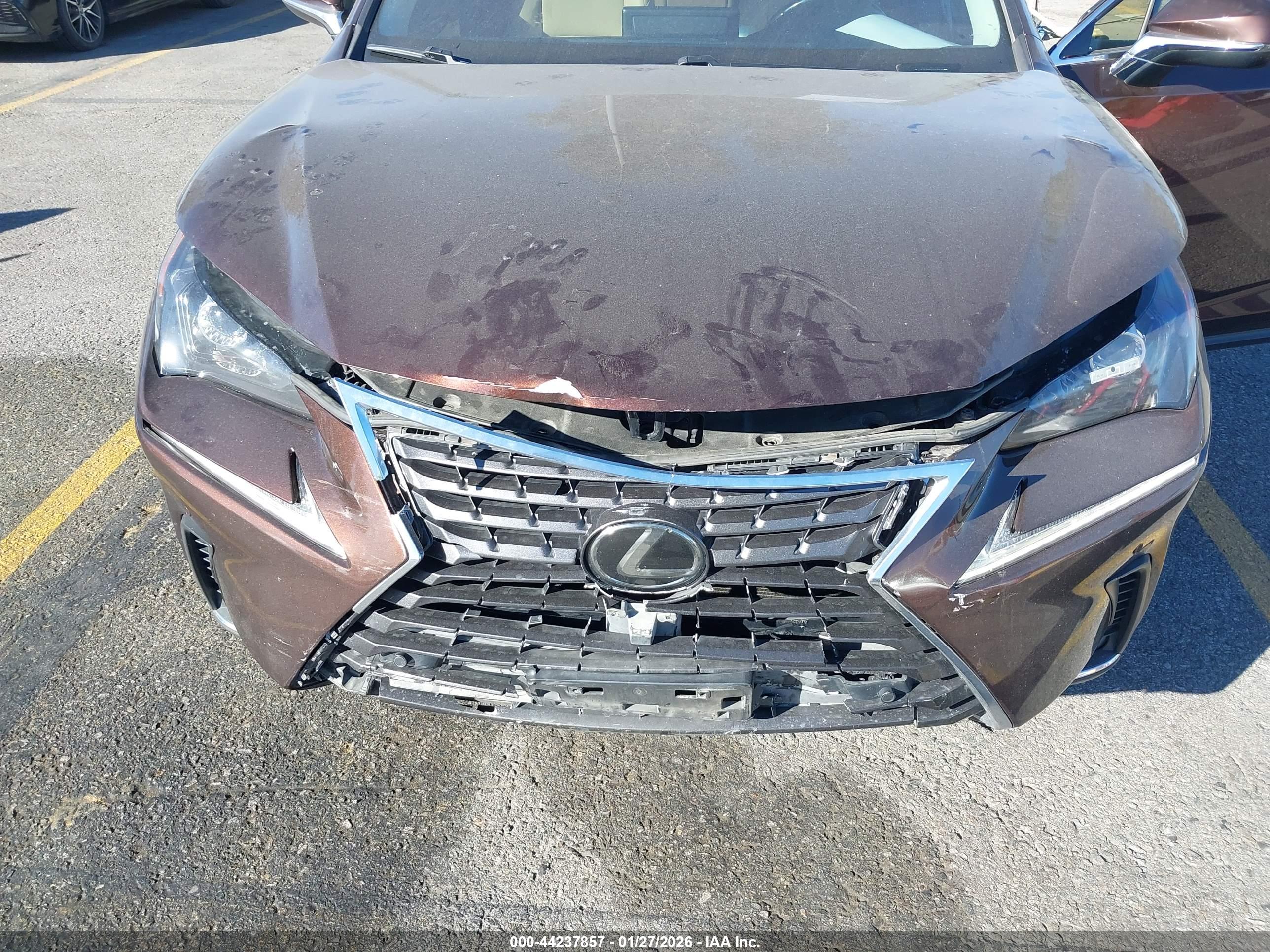 LEXUS NX image 6