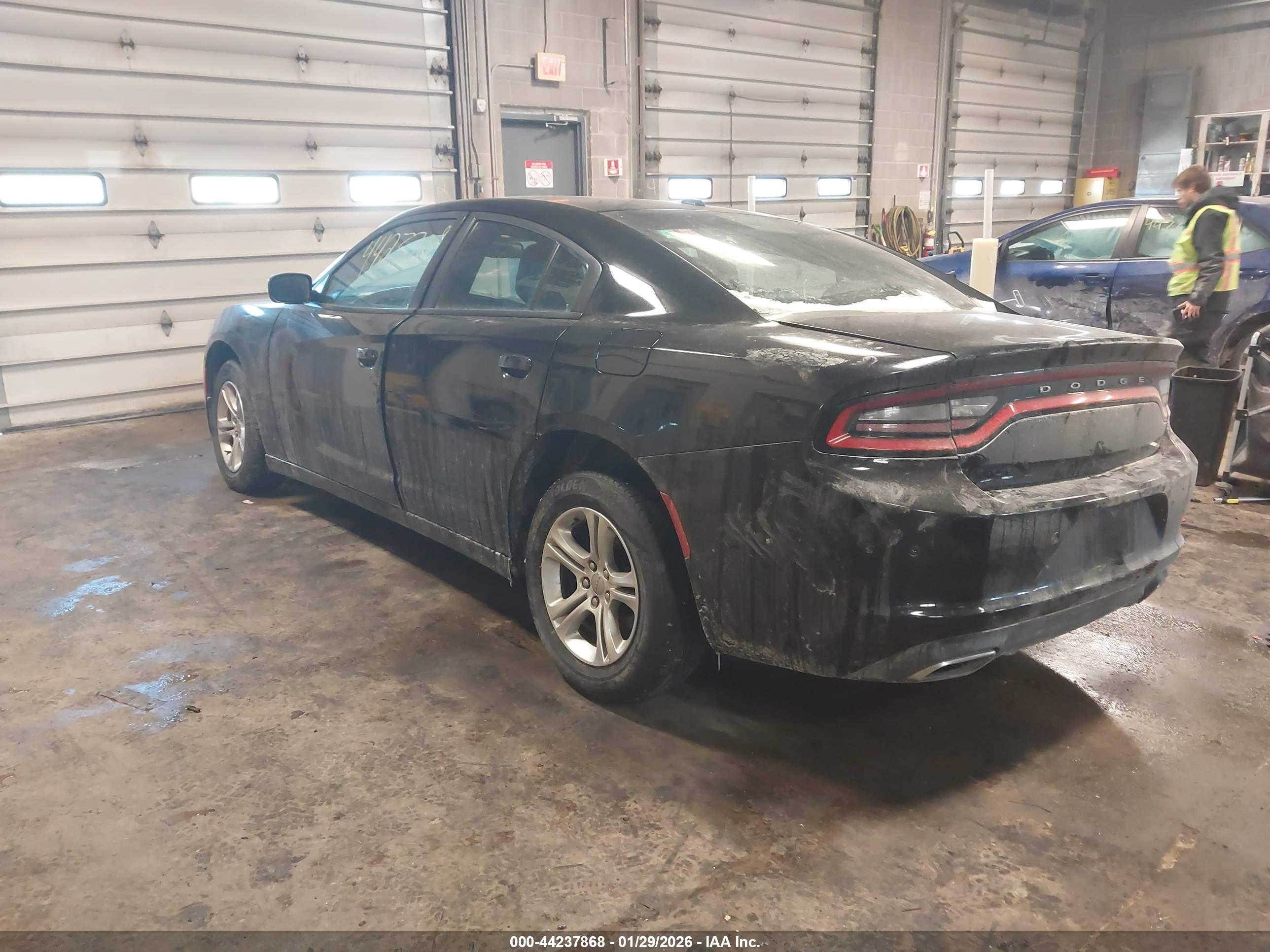 DODGE CHARGER image 3