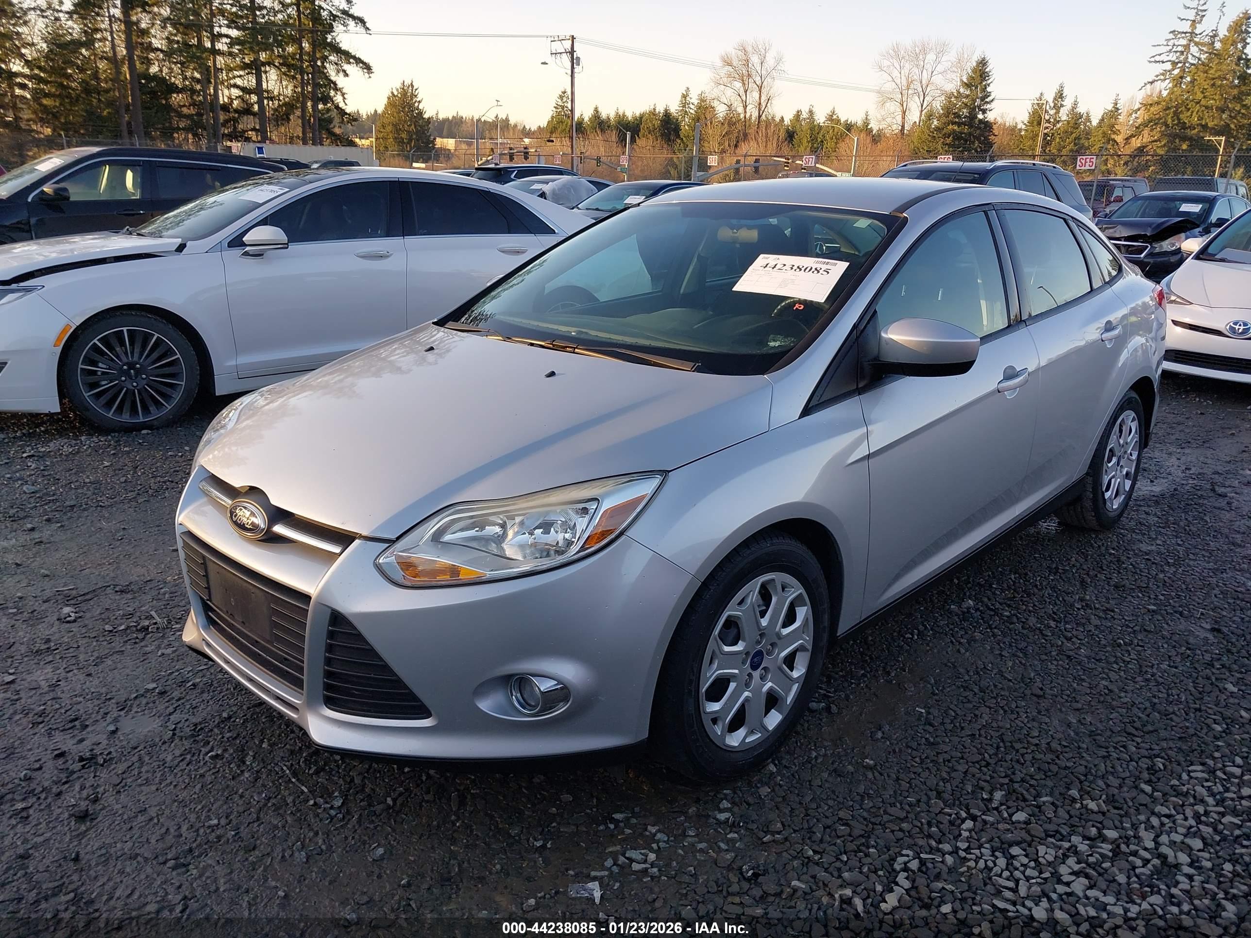 FORD FOCUS image 2