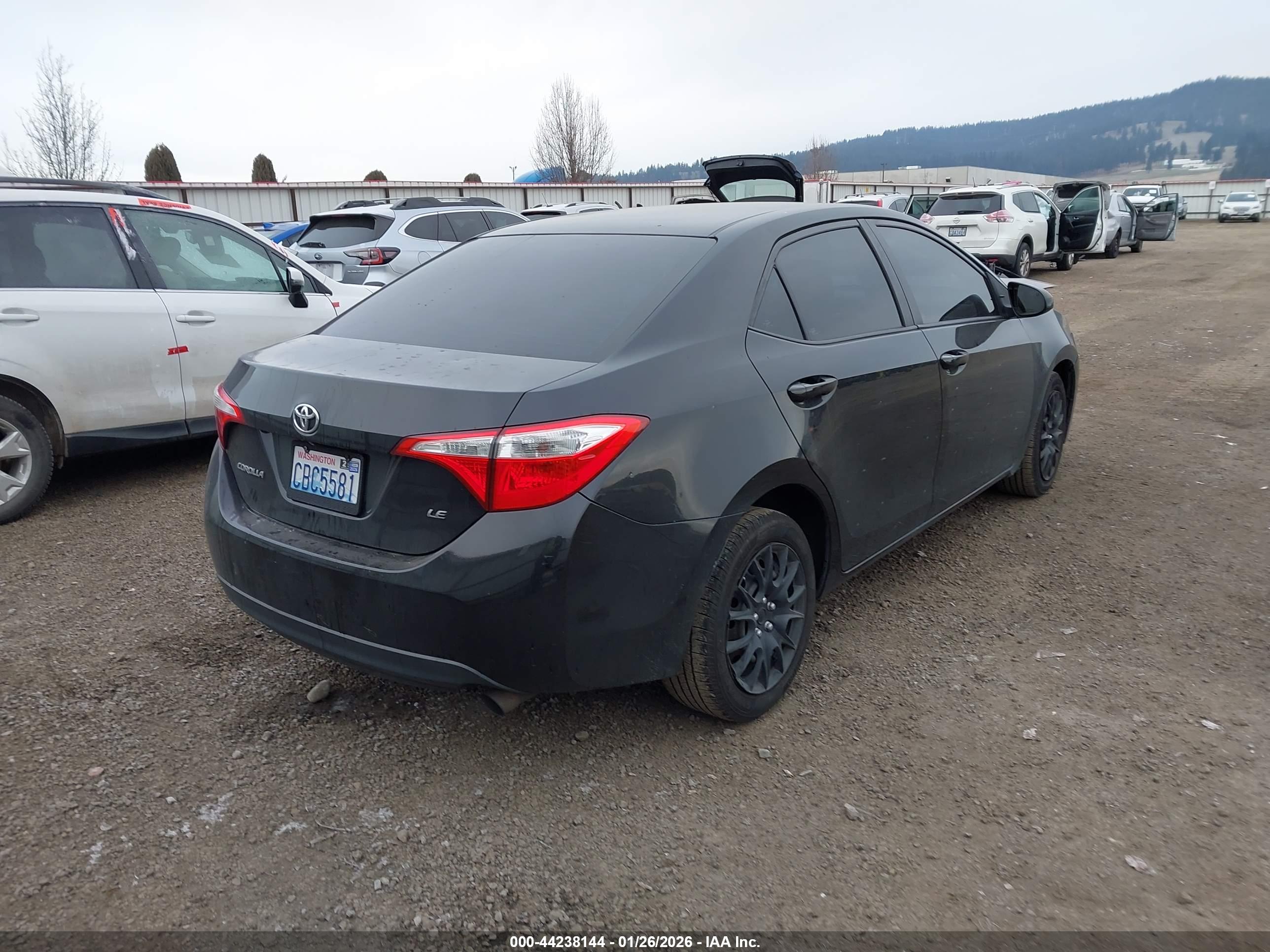 TOYOTA COROLLA image 4