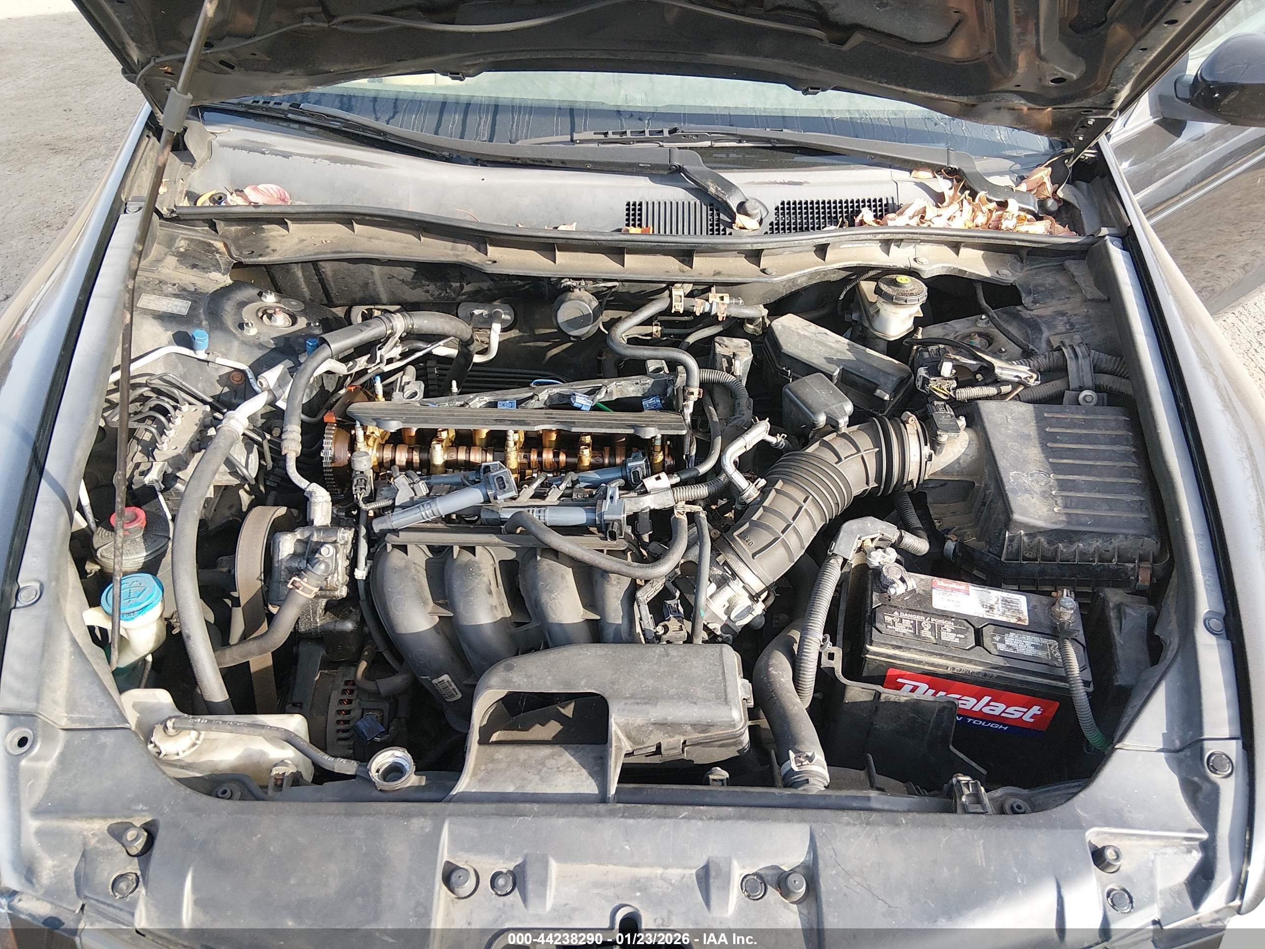 HONDA ACCORD image 10