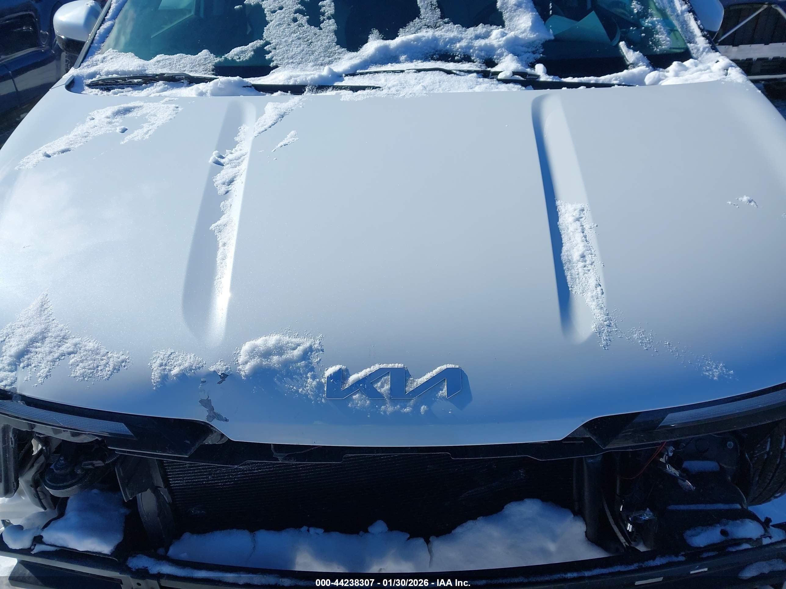 KIA CARNIVAL image 10