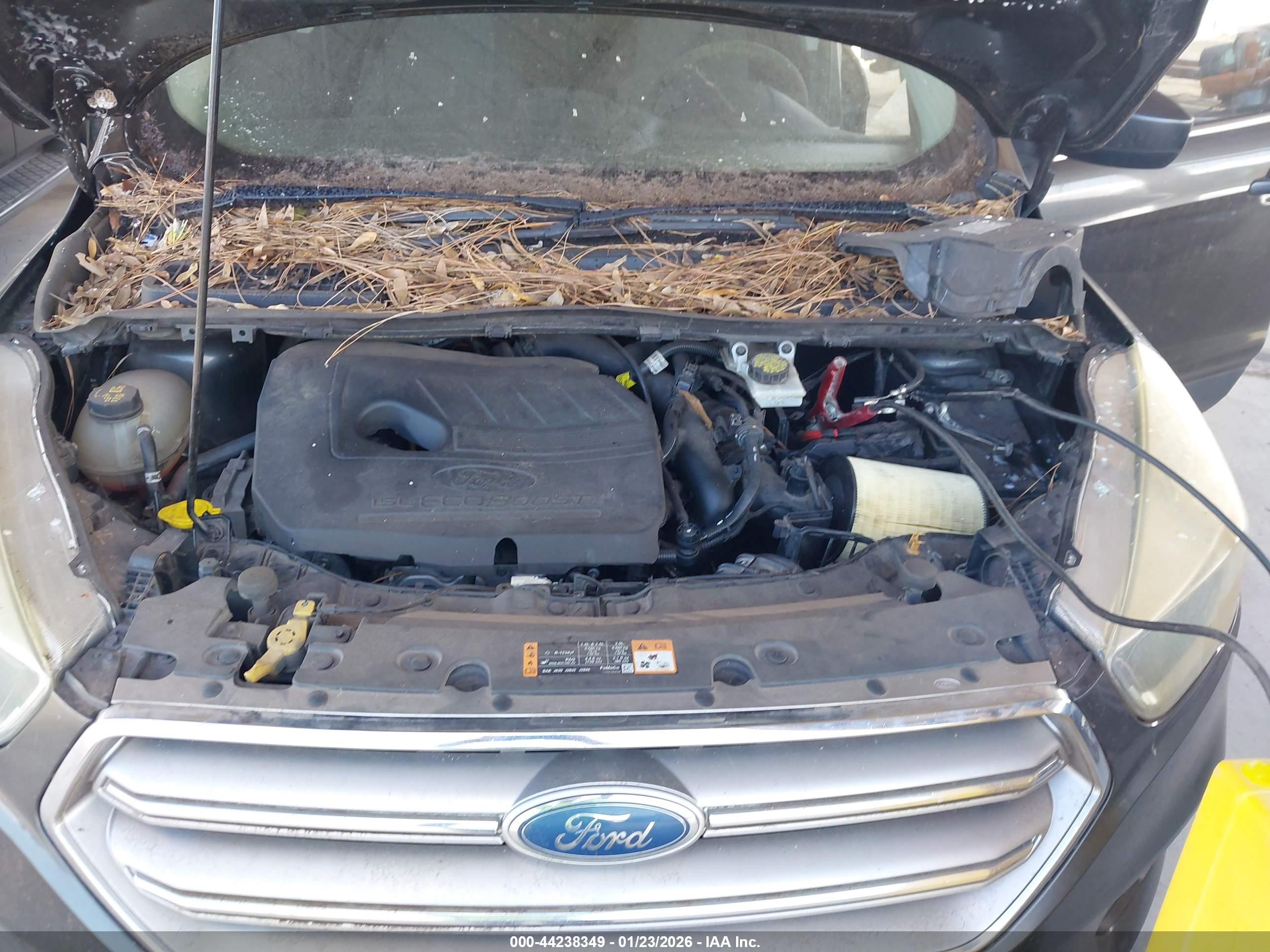 FORD ESCAPE image 10