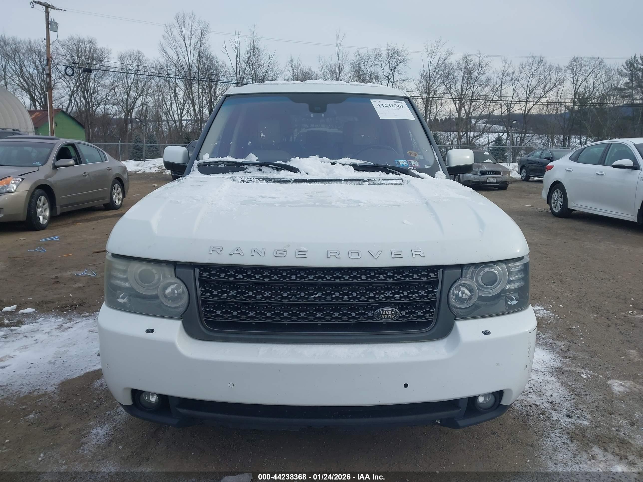 LAND ROVER image 6