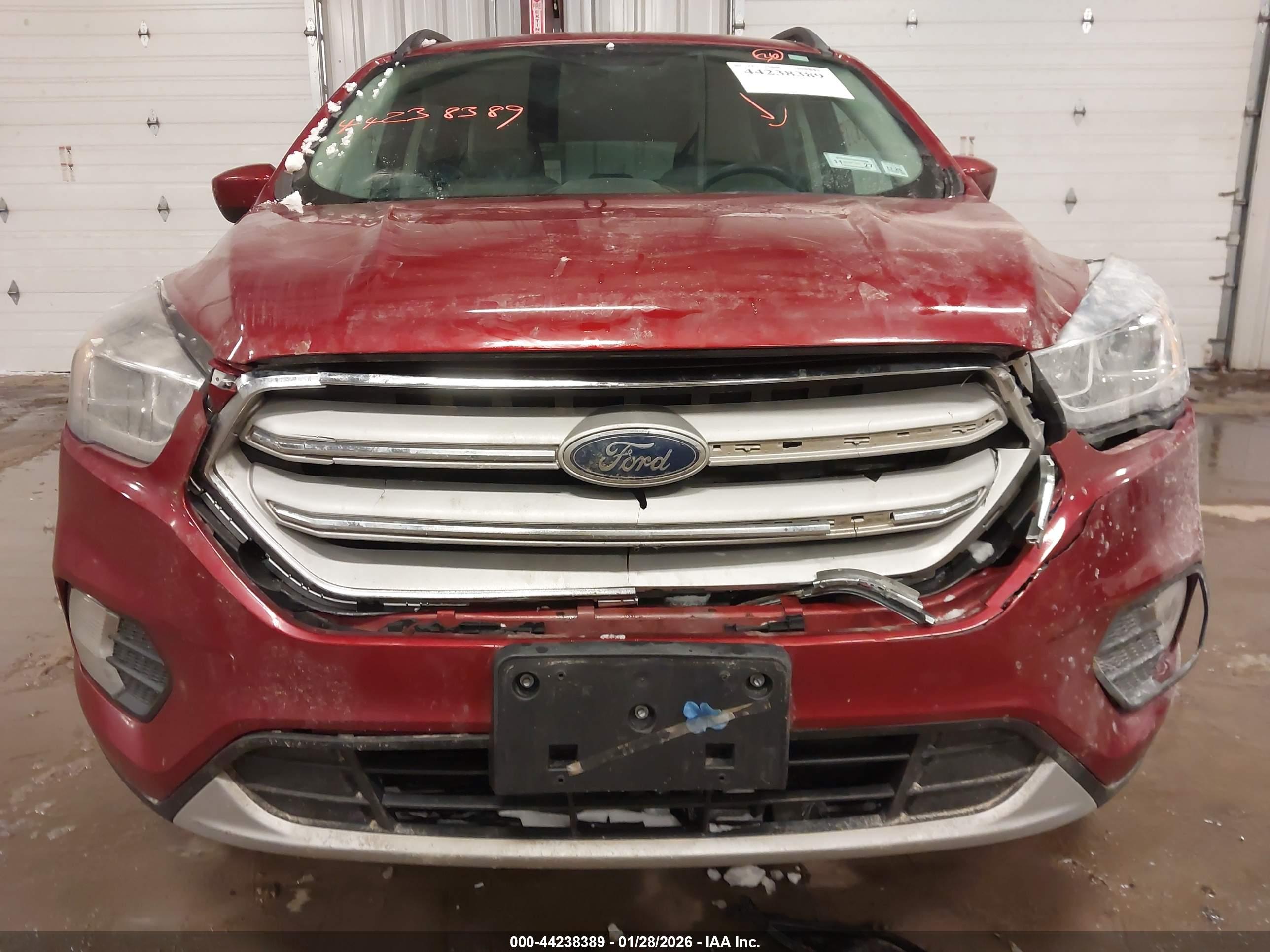 FORD ESCAPE image 6