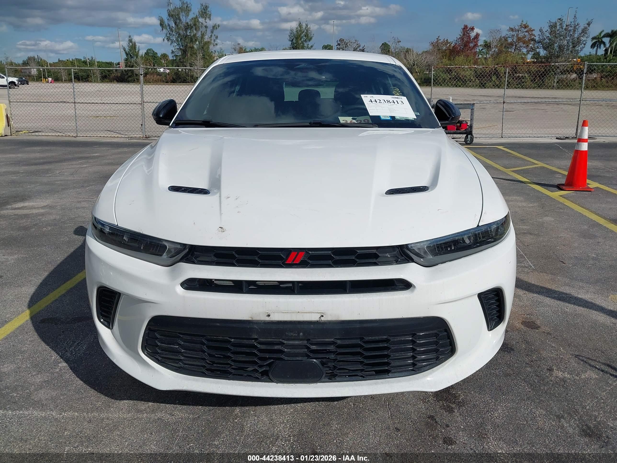 DODGE HORNET image 6