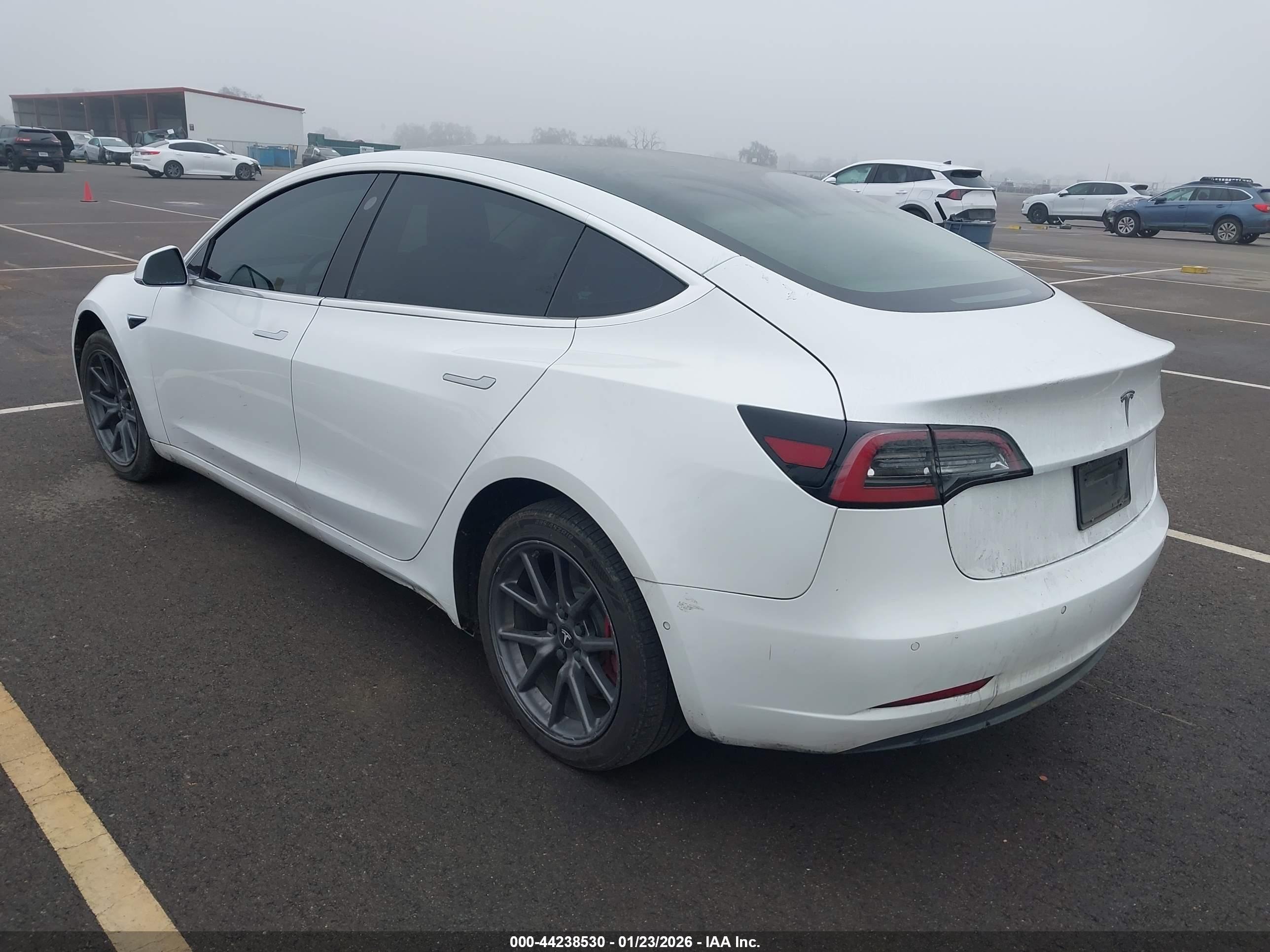 TESLA MODEL image 3