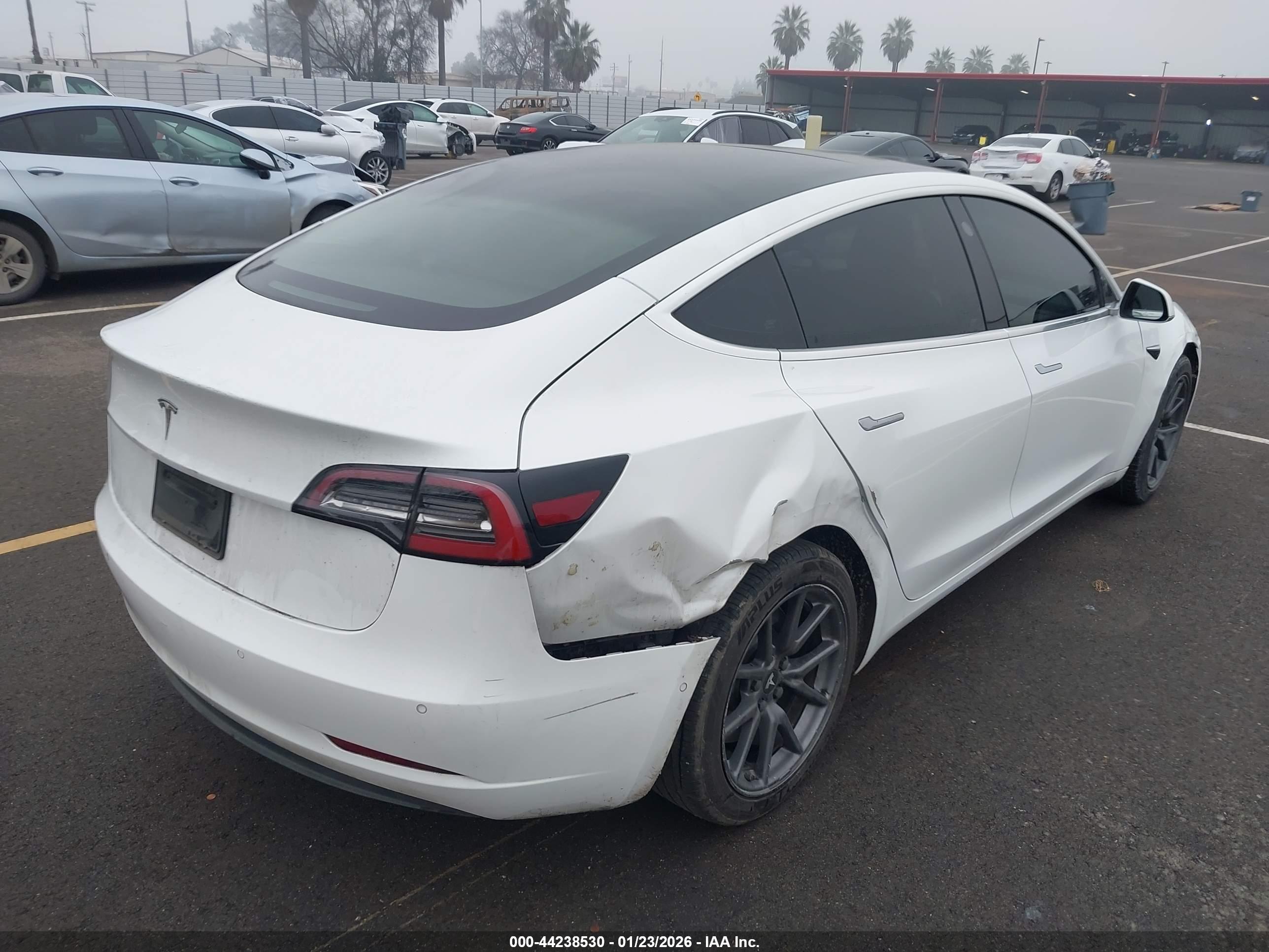 TESLA MODEL image 4