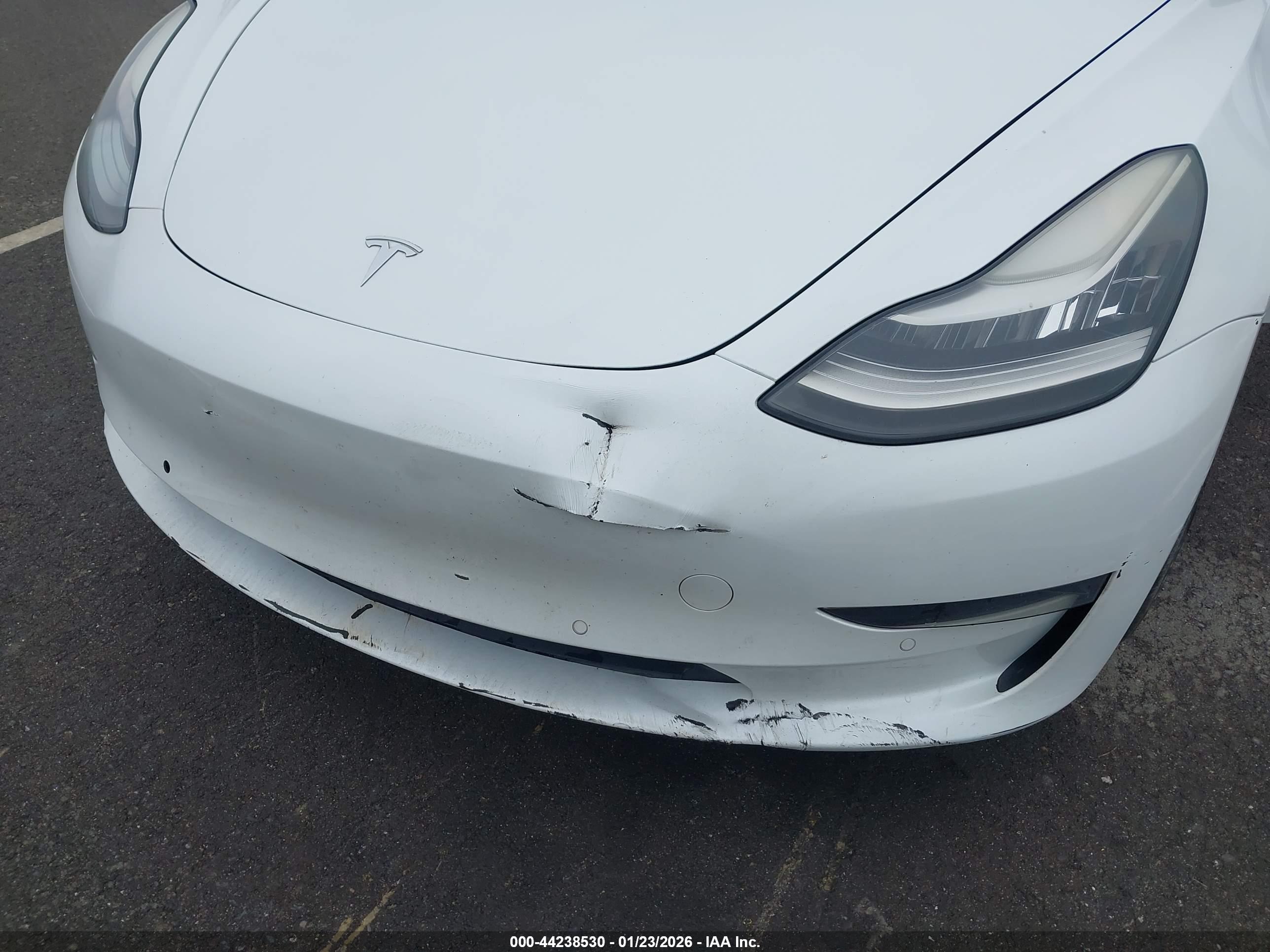 TESLA MODEL image 6