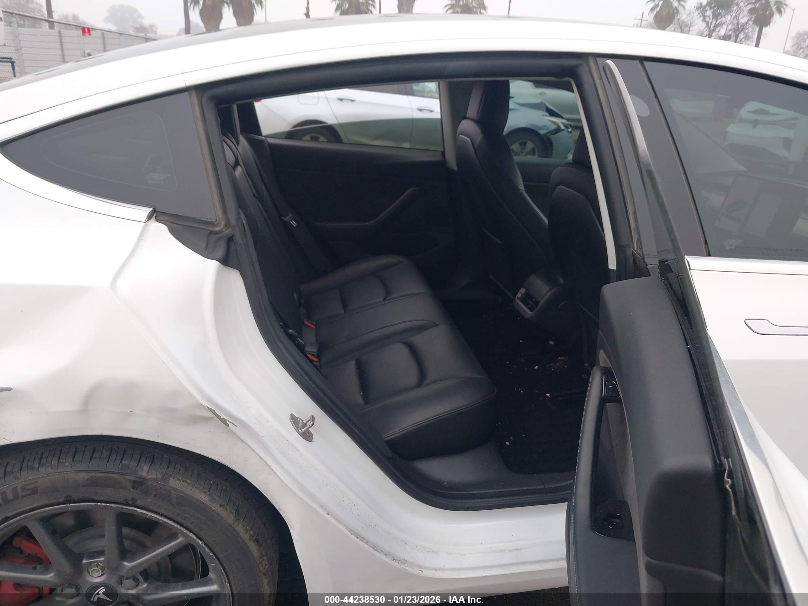 TESLA MODEL image 8