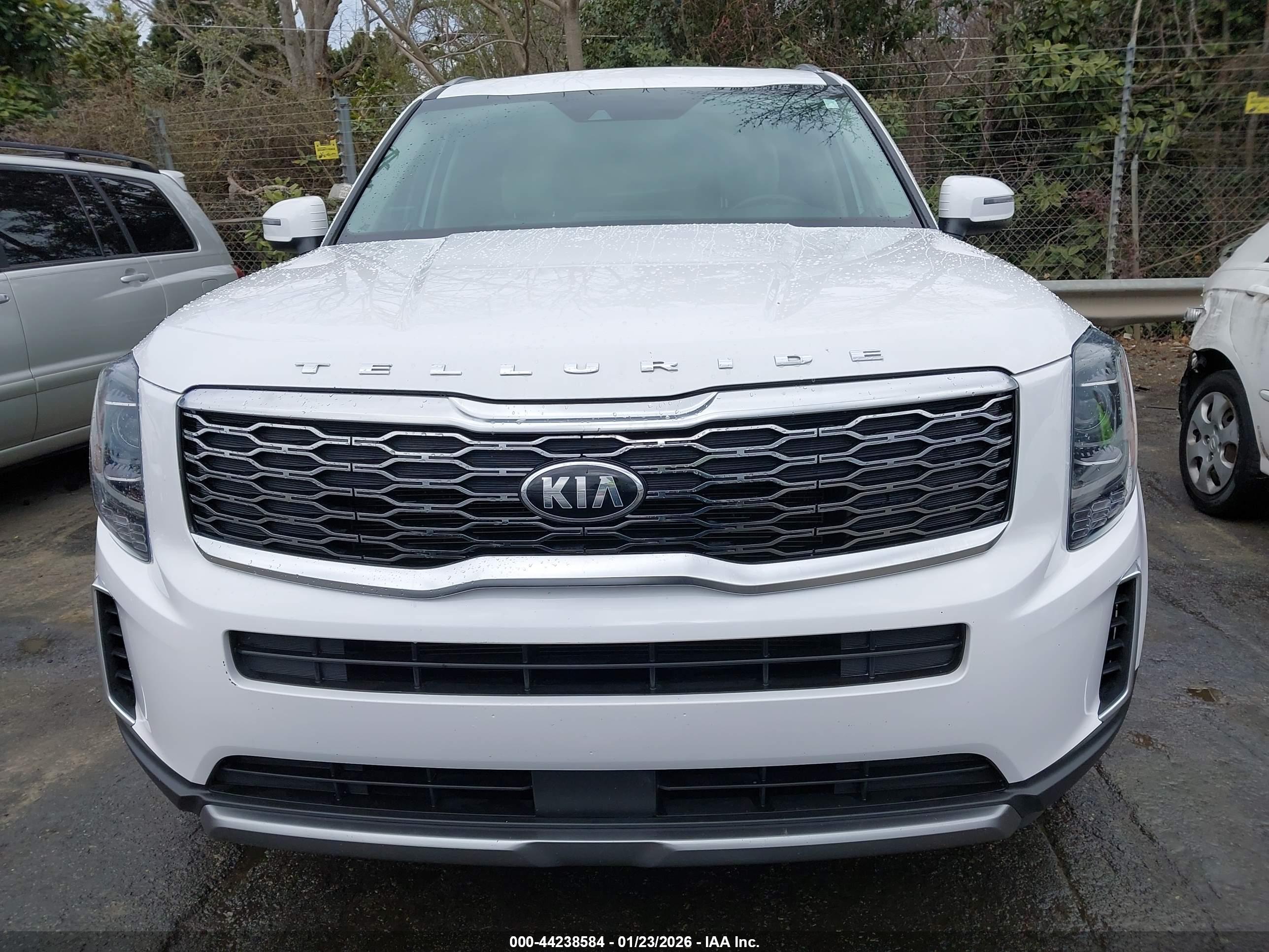 KIA TELLURIDE image 6