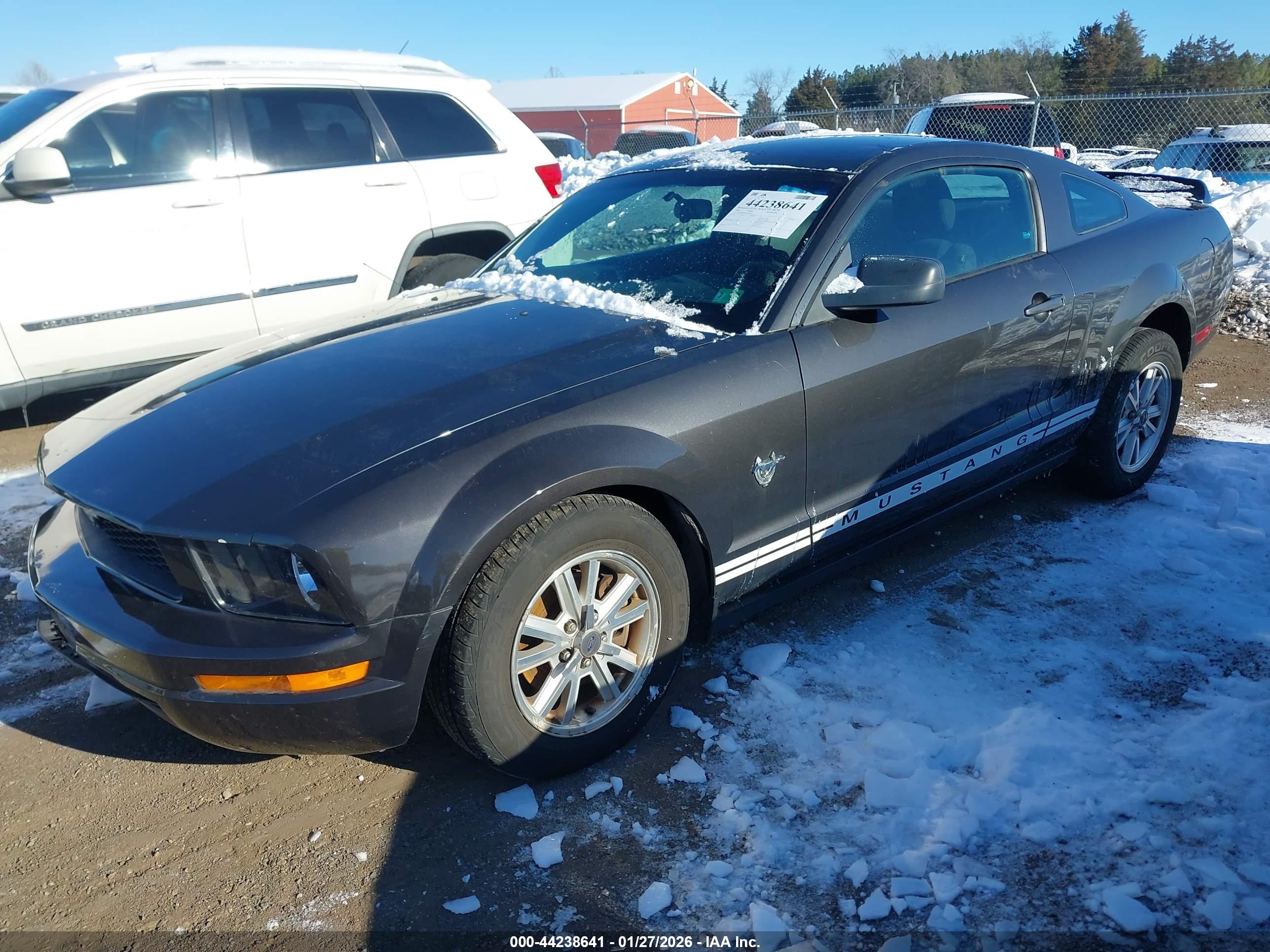 FORD MUSTANG image 2