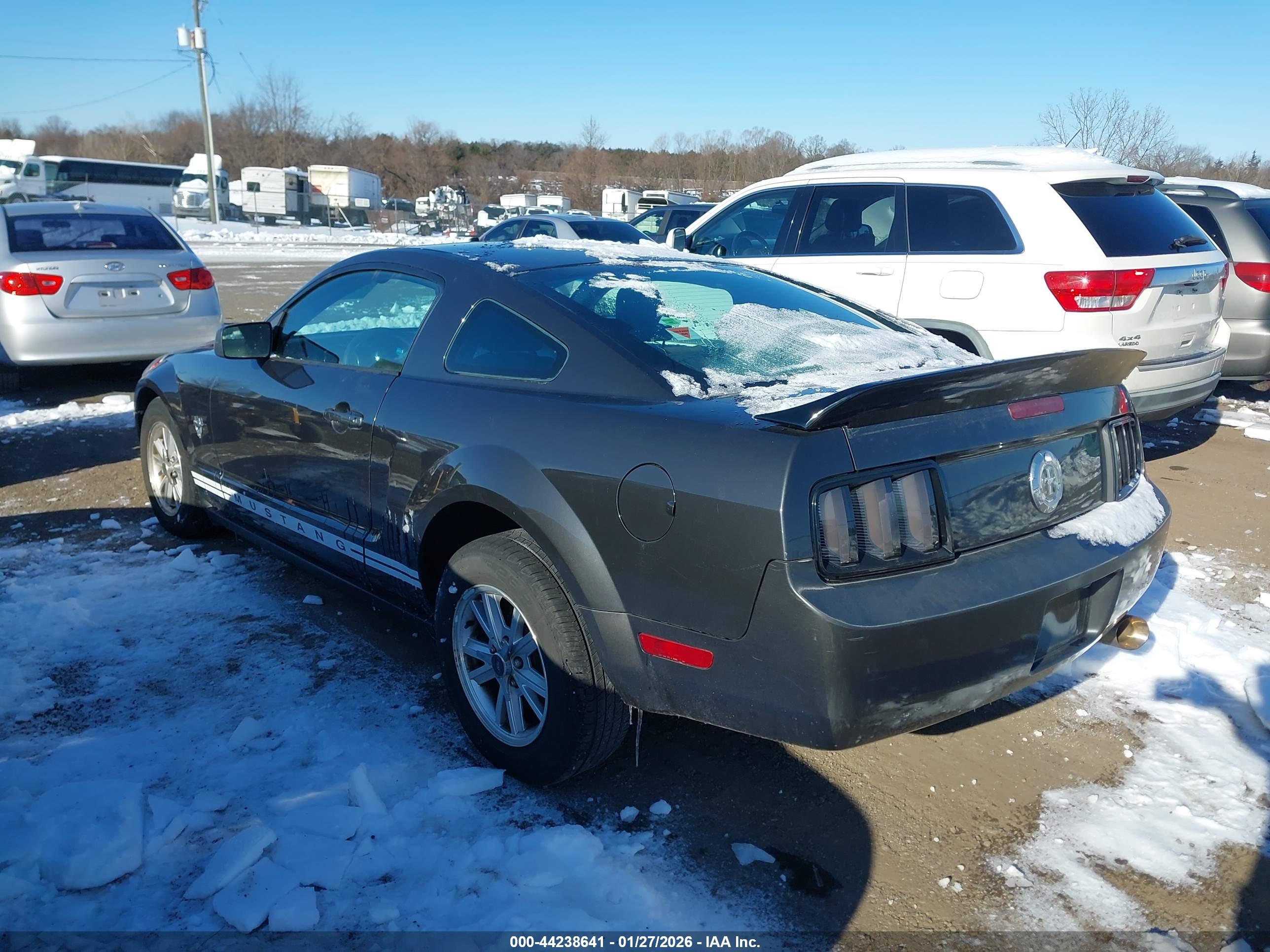 FORD MUSTANG image 3