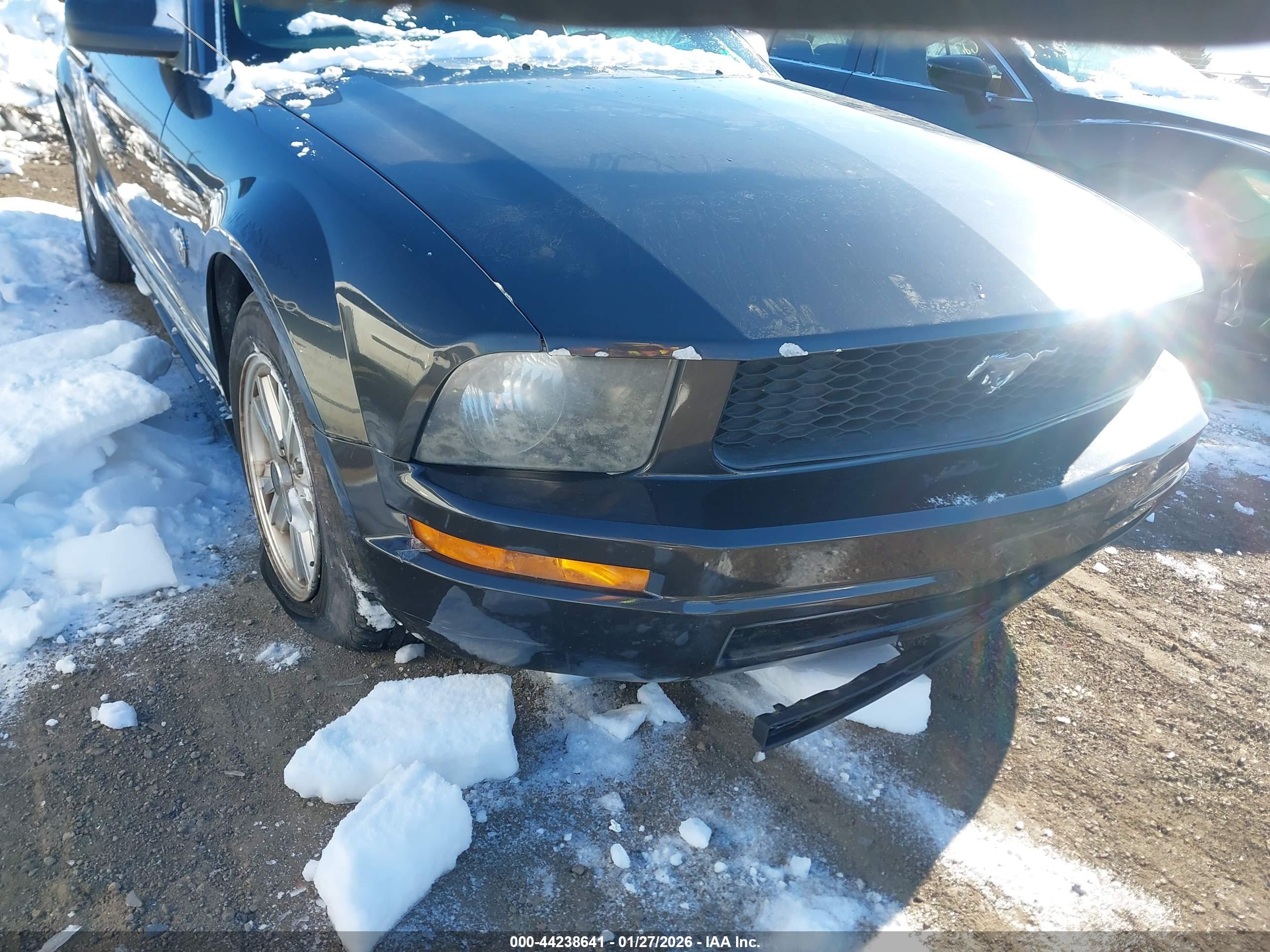 FORD MUSTANG image 6