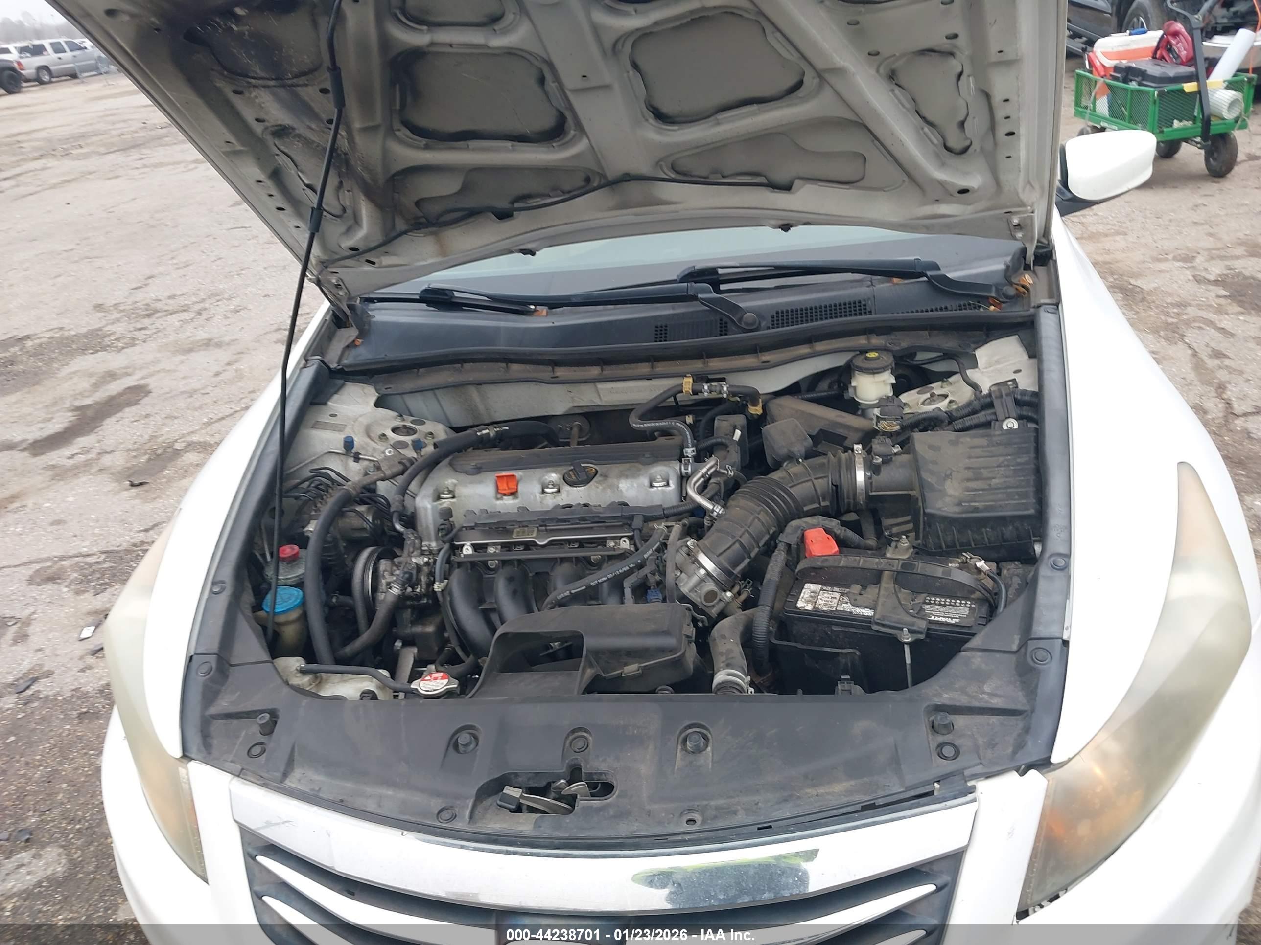 HONDA ACCORD image 10