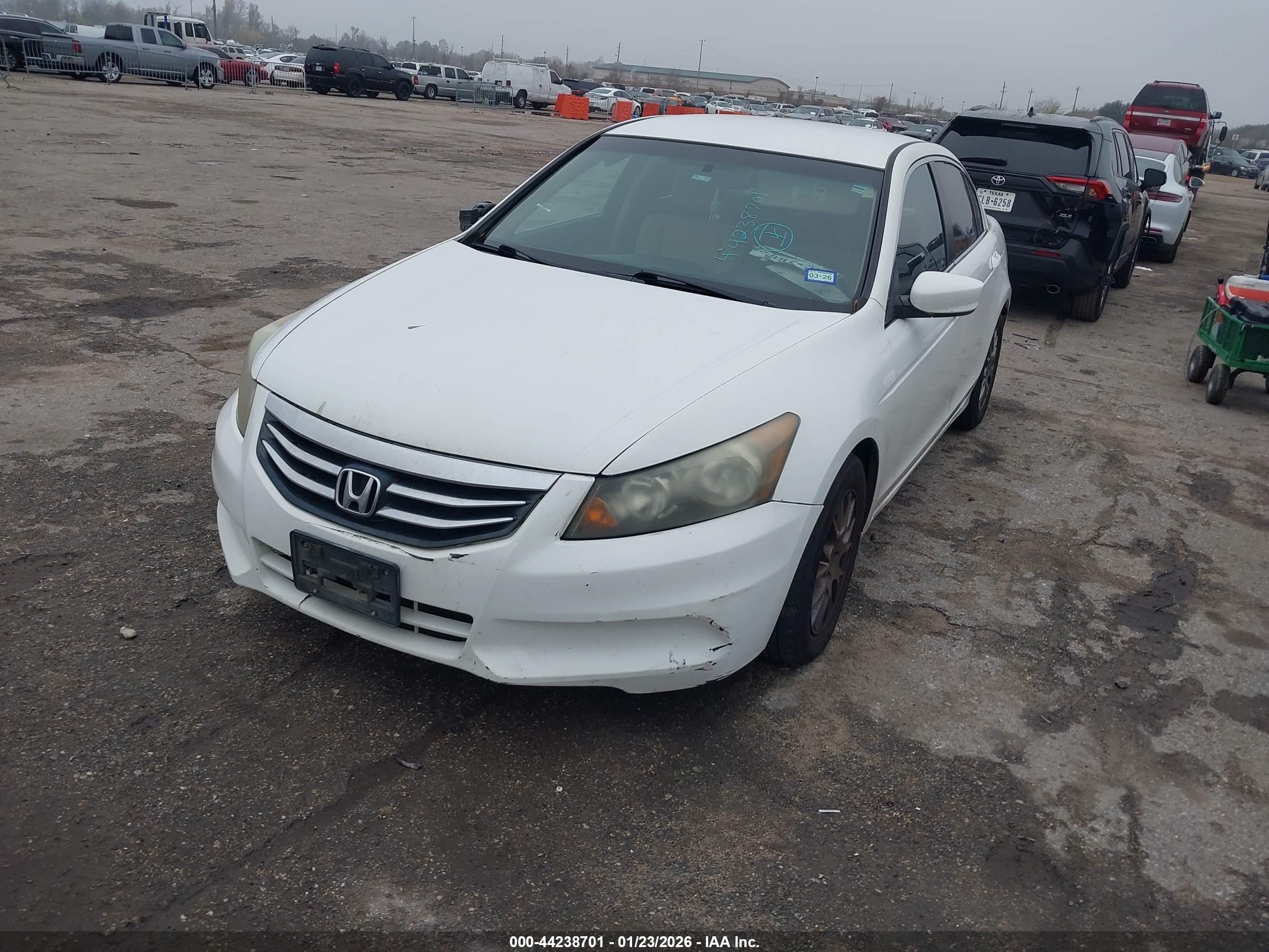 HONDA ACCORD image 2