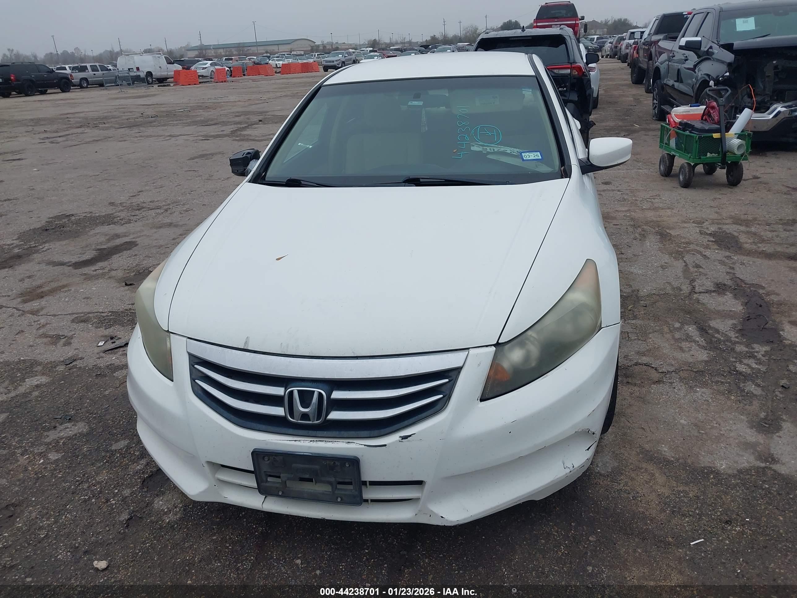 HONDA ACCORD image 6