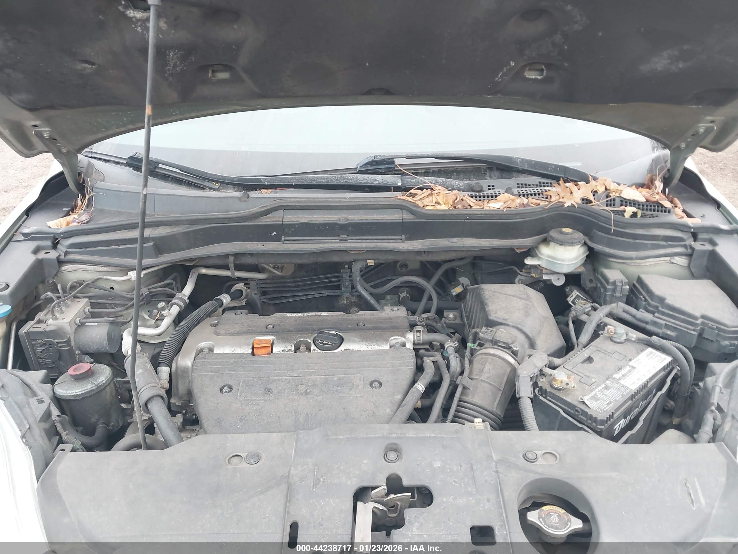 HONDA CR-V image 10