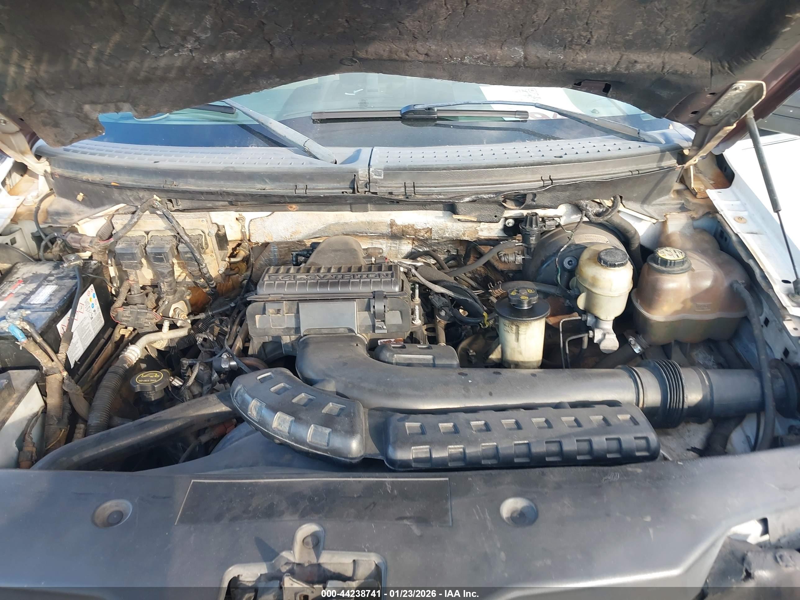 FORD F-150 image 10