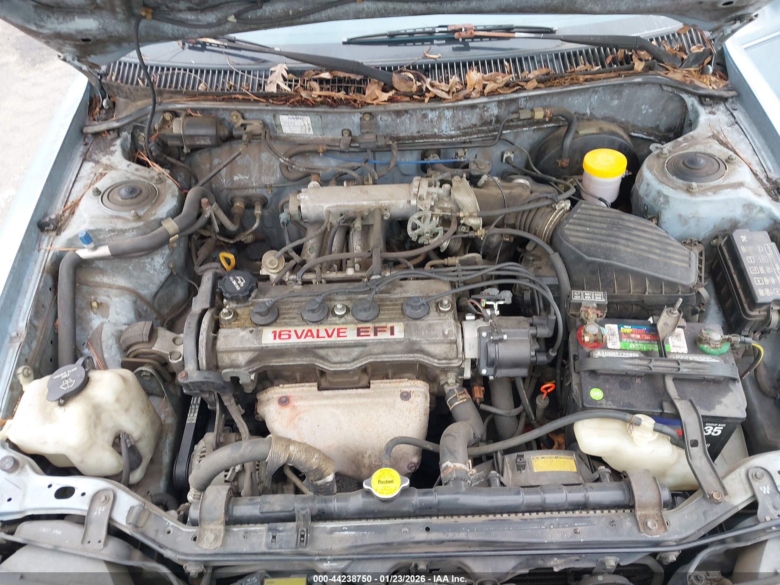 TOYOTA COROLLA image 10