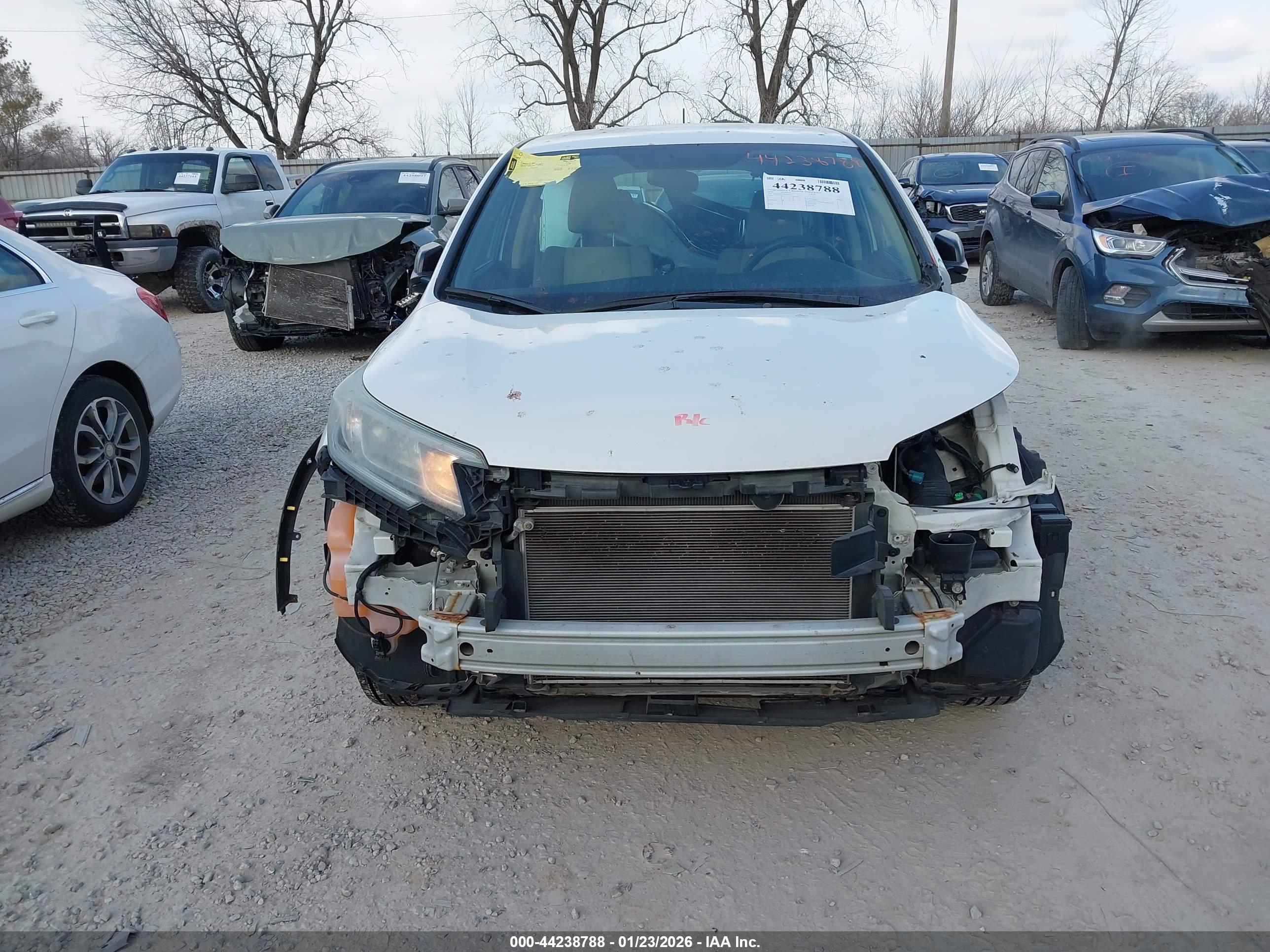HONDA CR-V image 6