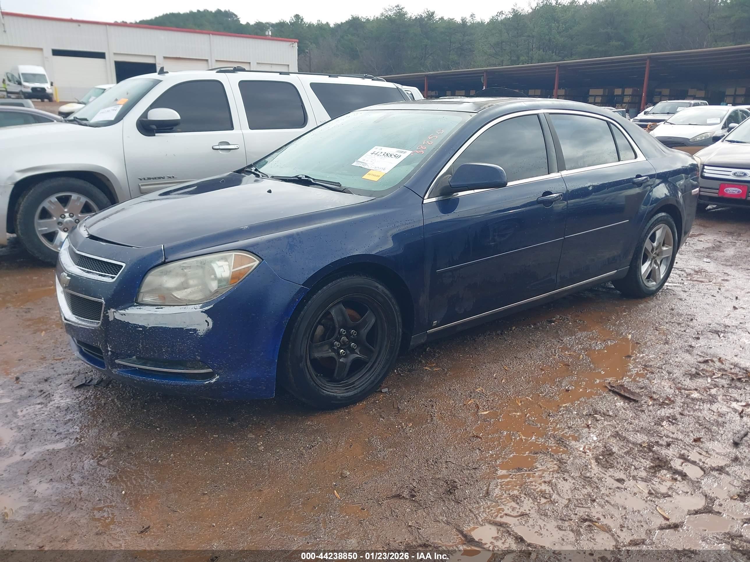CHEVROLET MALIBU image 2