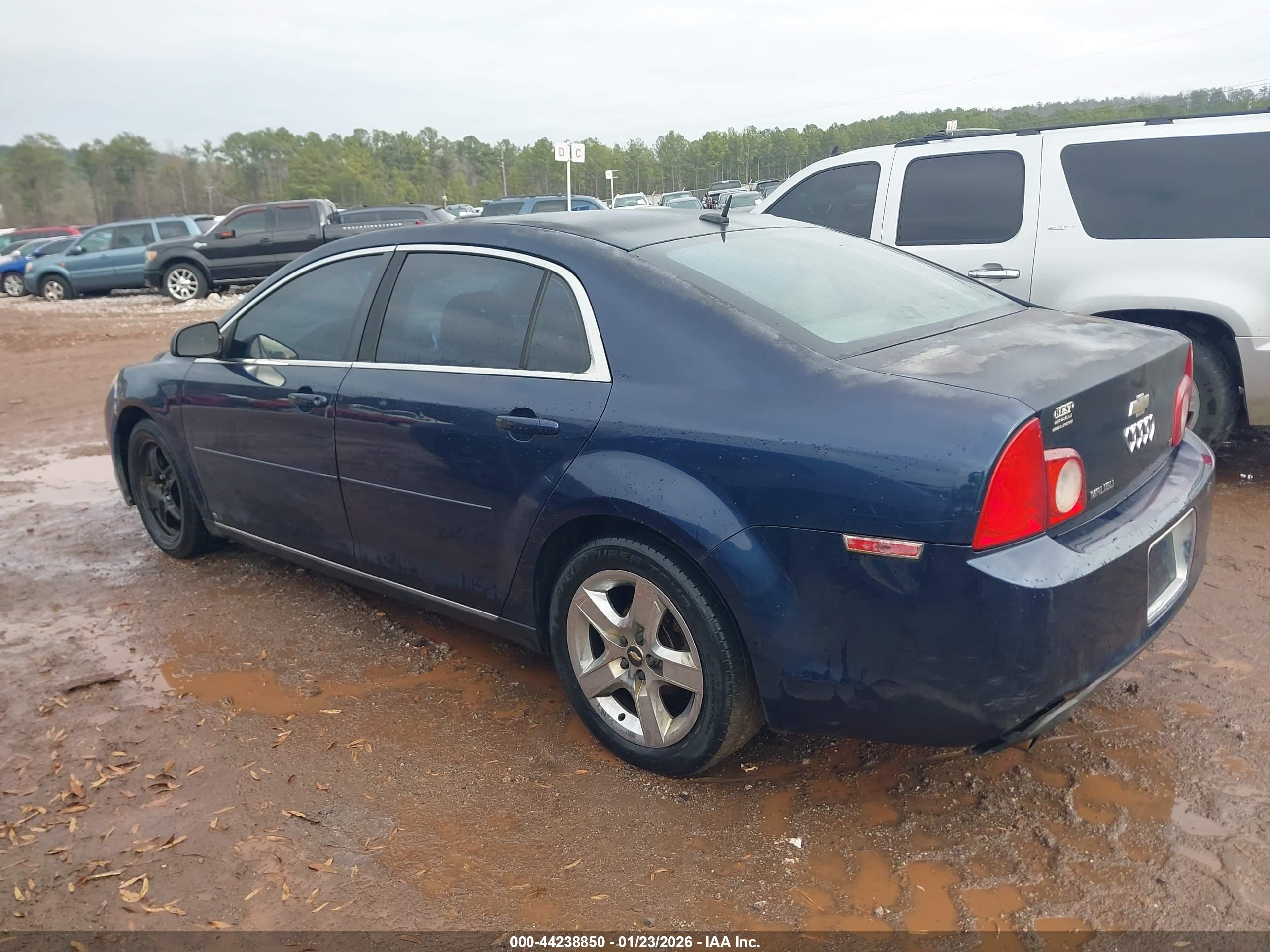 CHEVROLET MALIBU image 3