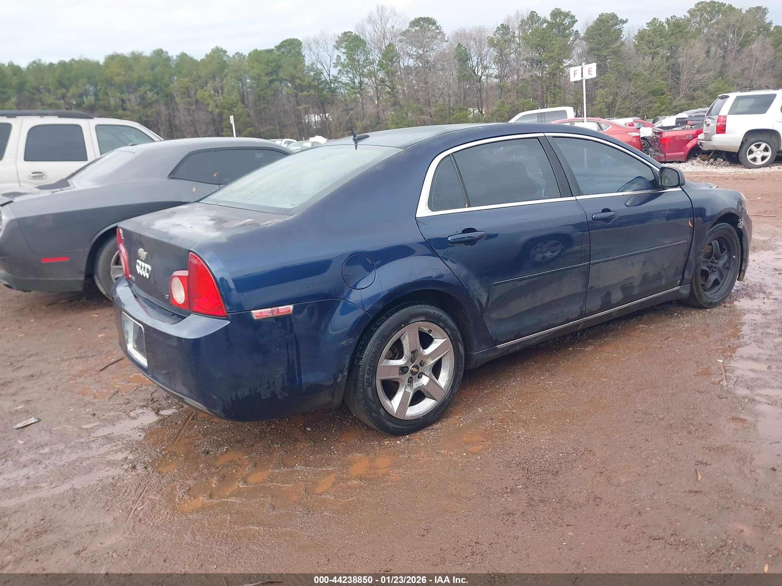 CHEVROLET MALIBU image 4