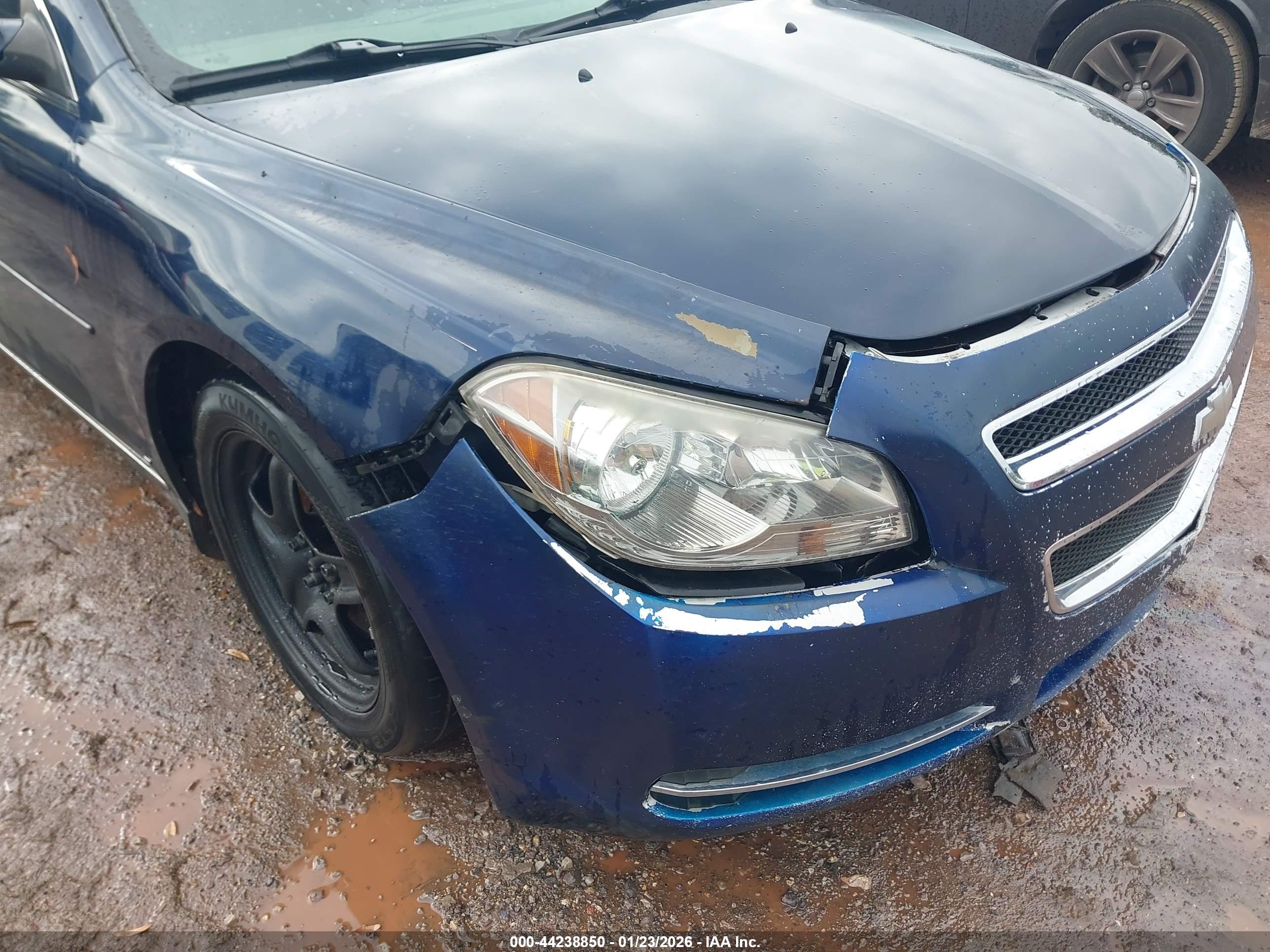 CHEVROLET MALIBU image 6