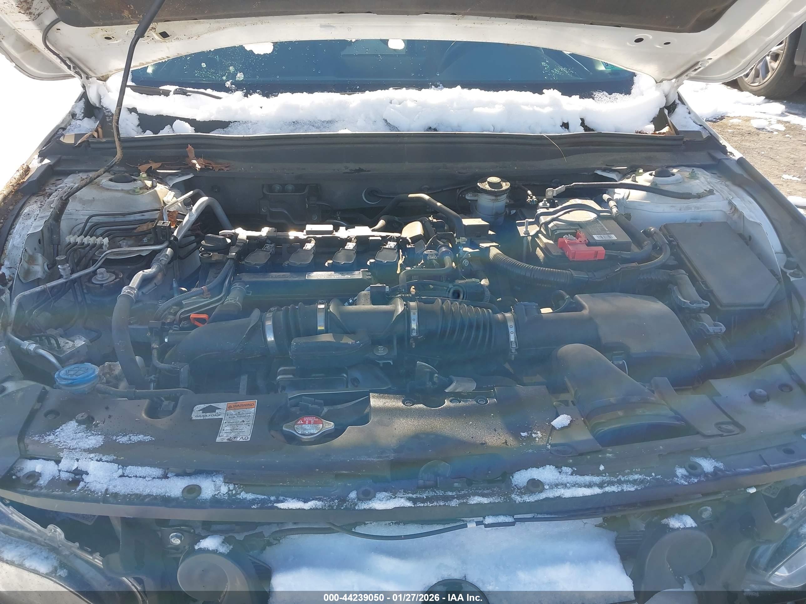 HONDA ACCORD image 10