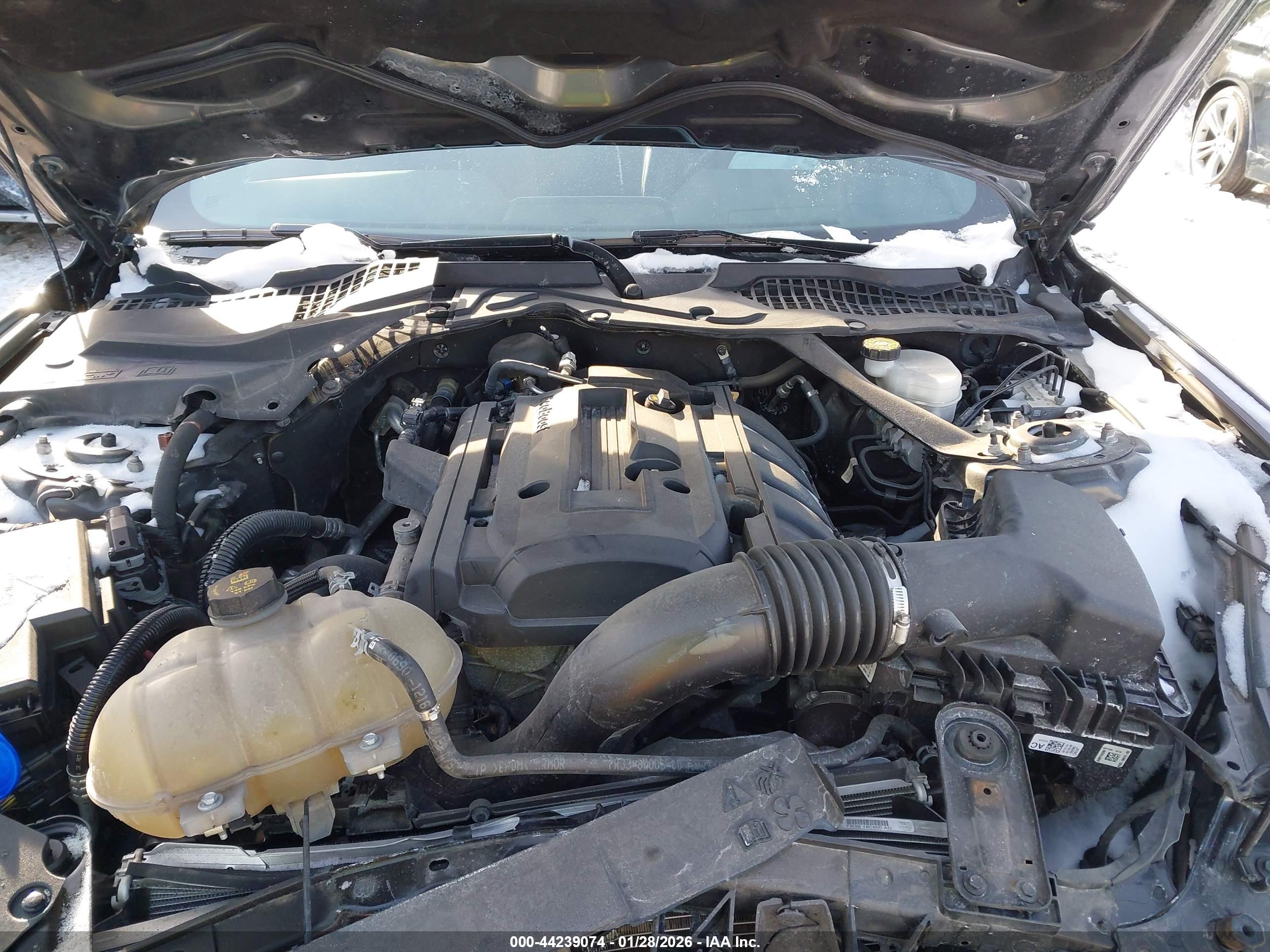 FORD MUSTANG image 10