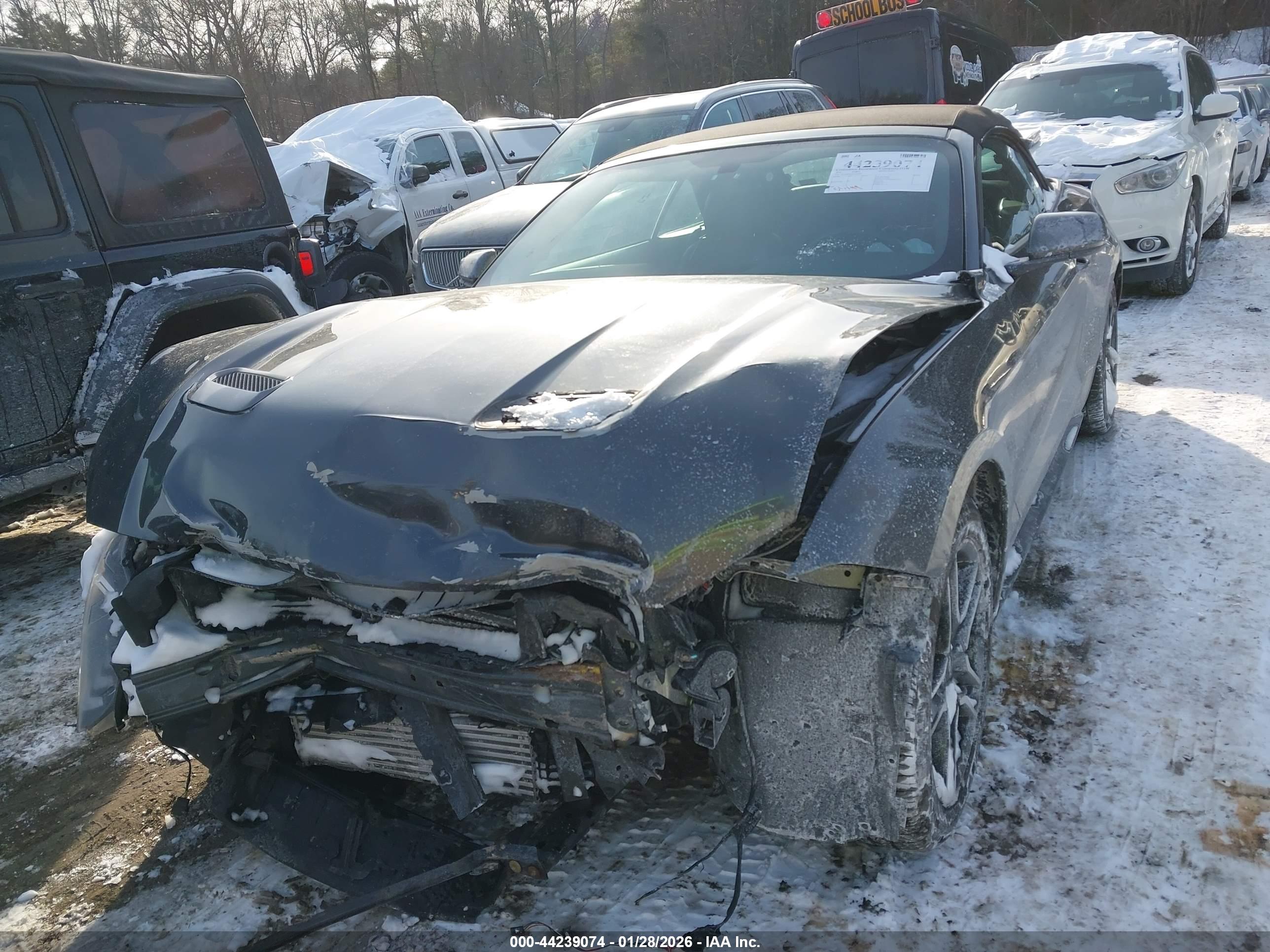 FORD MUSTANG image 2