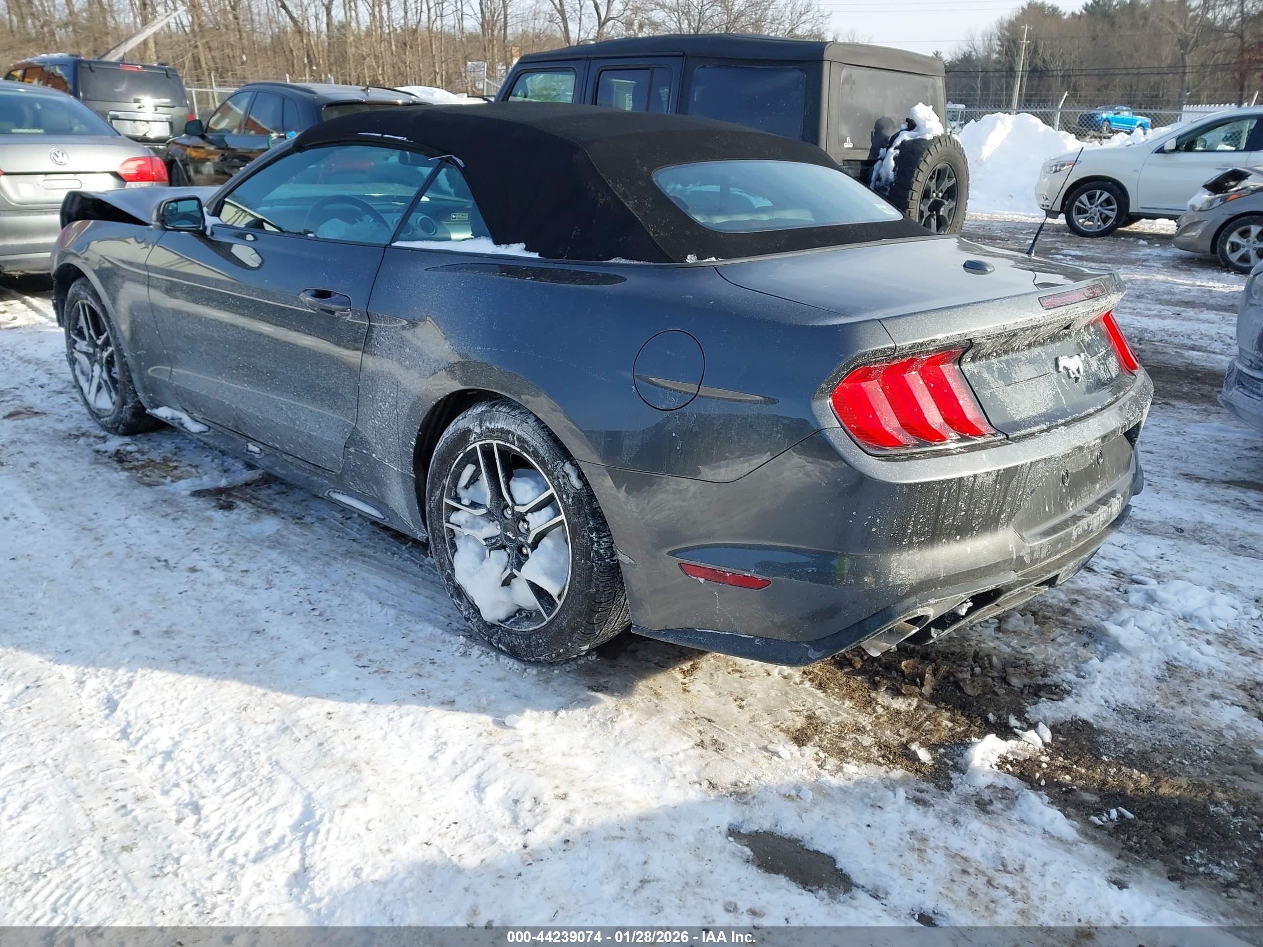 FORD MUSTANG image 3