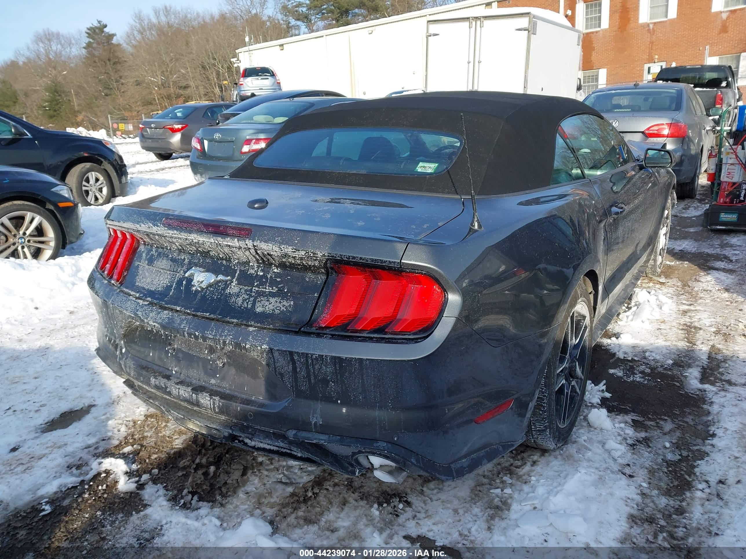 FORD MUSTANG image 4