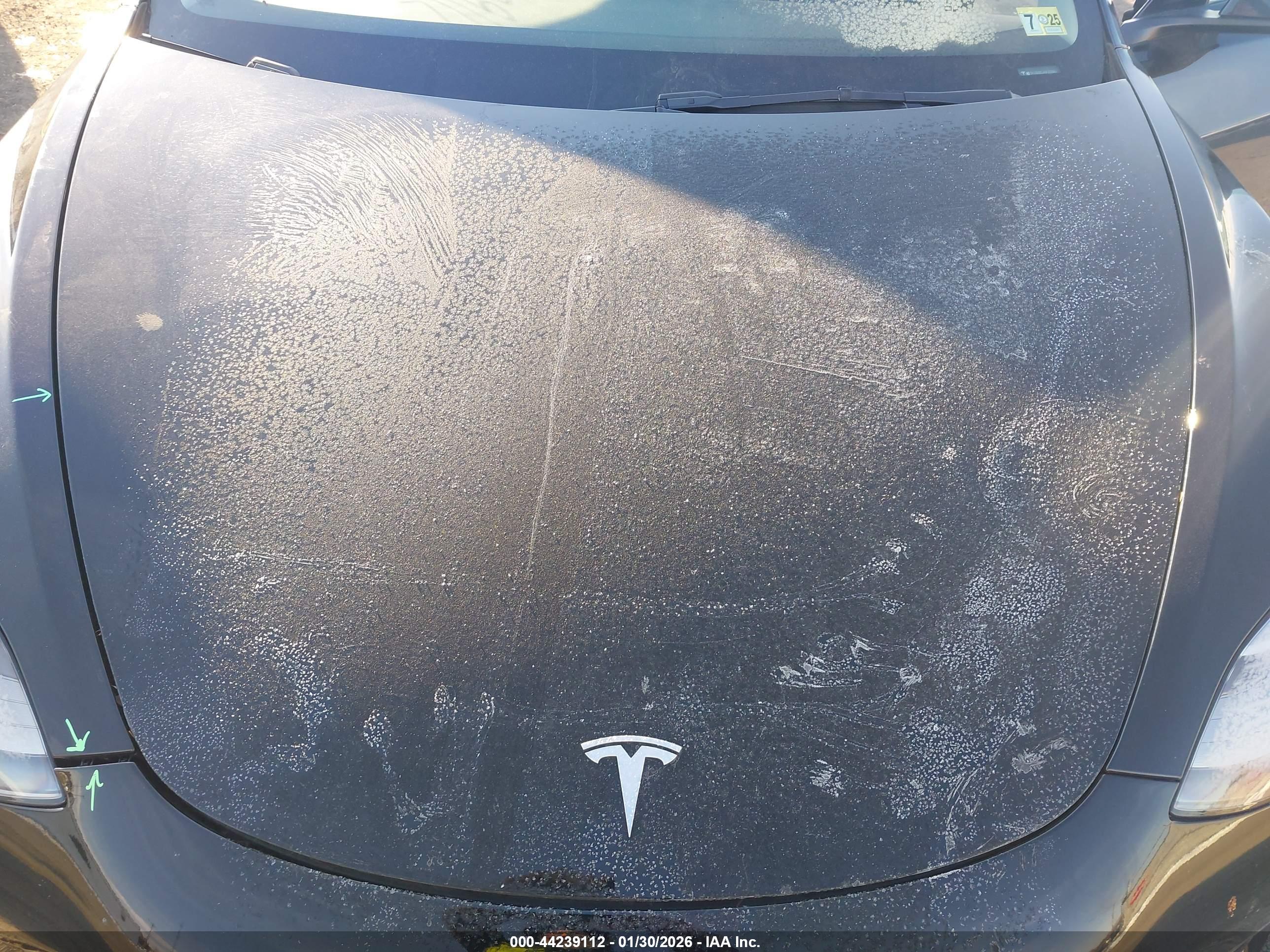 TESLA MODEL image 10