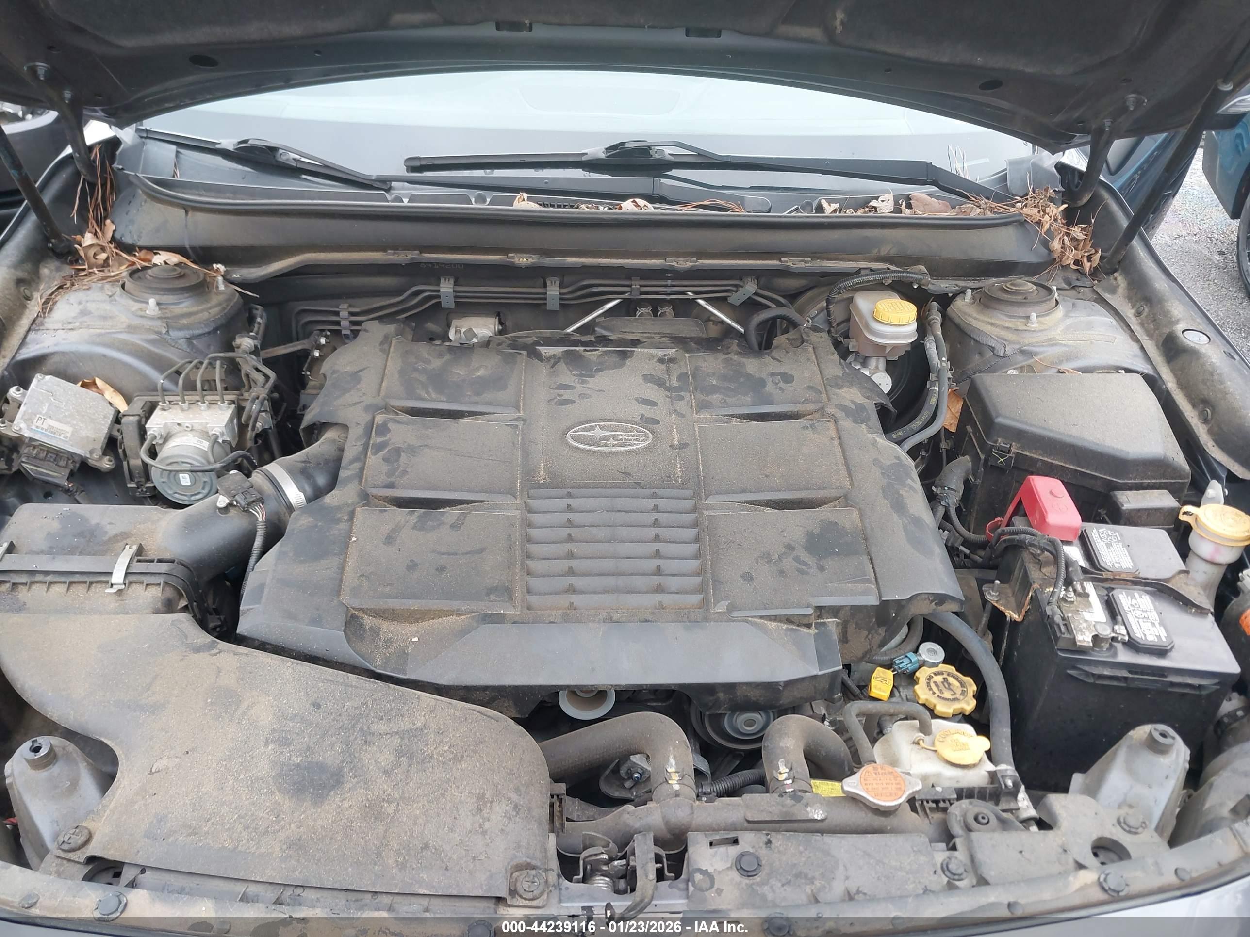 SUBARU OUTBACK image 10
