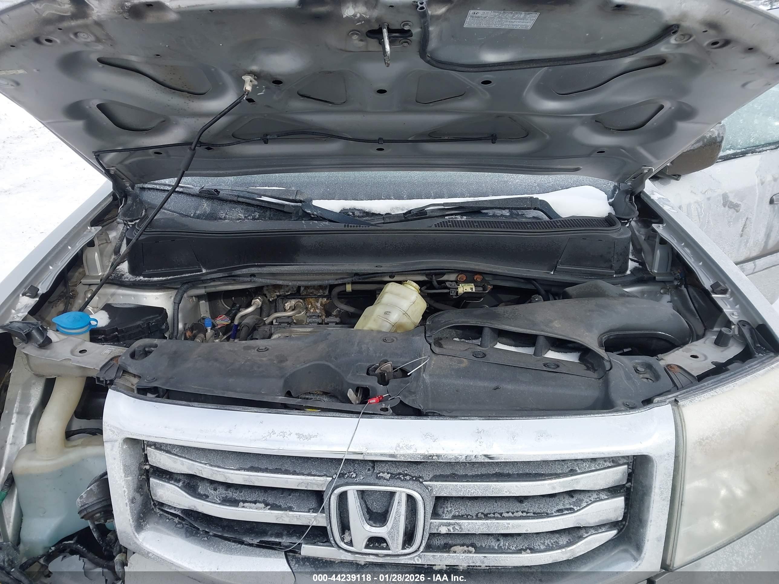 HONDA PILOT image 10