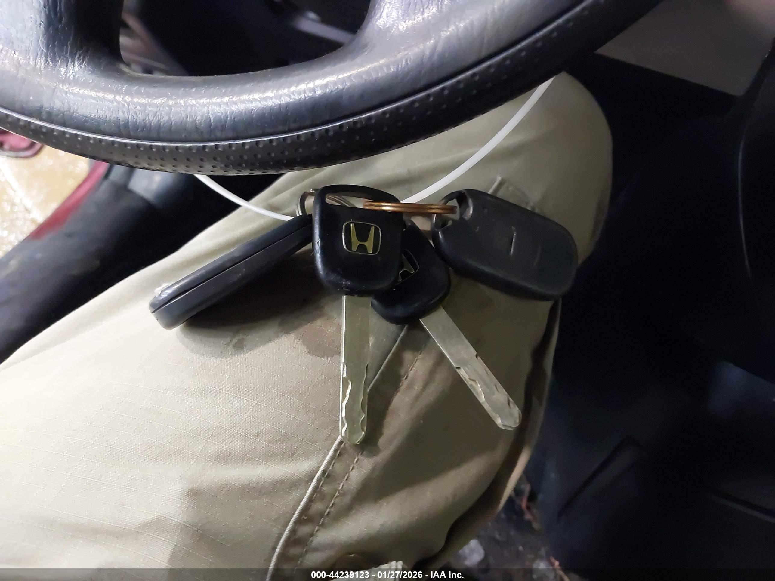 HONDA ELEMENT image 11